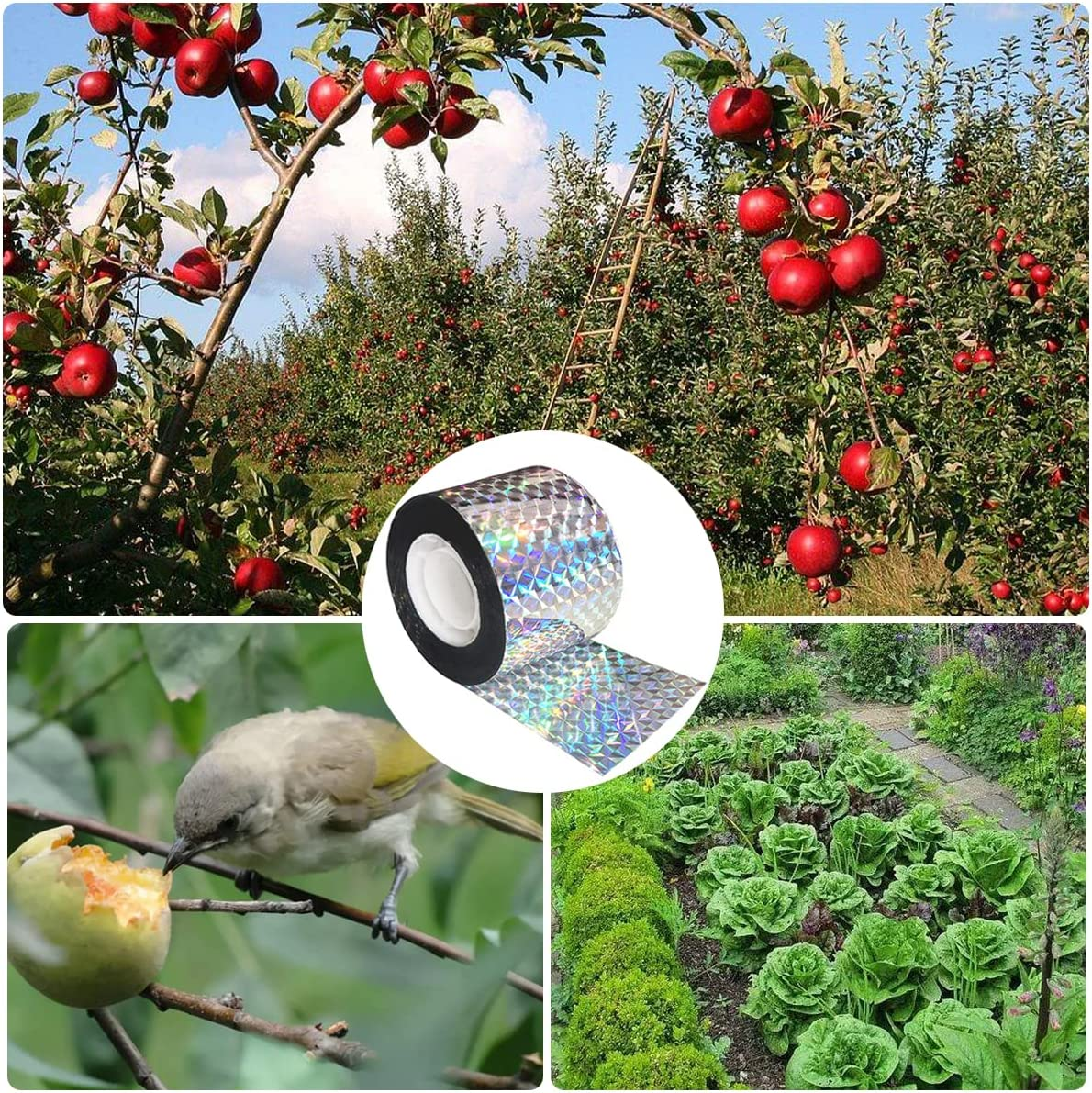 Folmywy Bird Scare Tape Double Sided Reflective Flashing Tape Ribbon Woodpecker Deterrent for House Deterrent Birds Pigeon Herons Away from Garden Farm Trees Orchard Crops image number 4