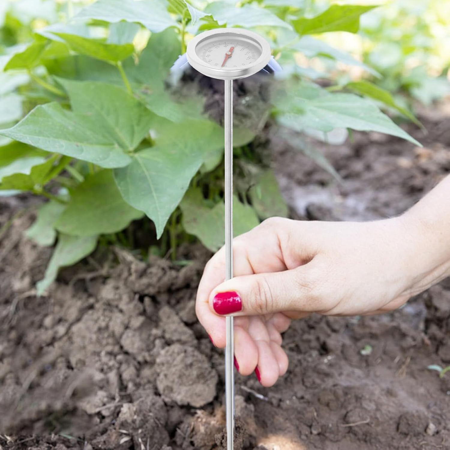 Angoily Reusable Compost Soil Temperature Gauge with Stainless Steel Probe Accurate Readings for Backyard Gardening and Home Composting Portable Long Stem Thermometer for Precise Soil image number 2