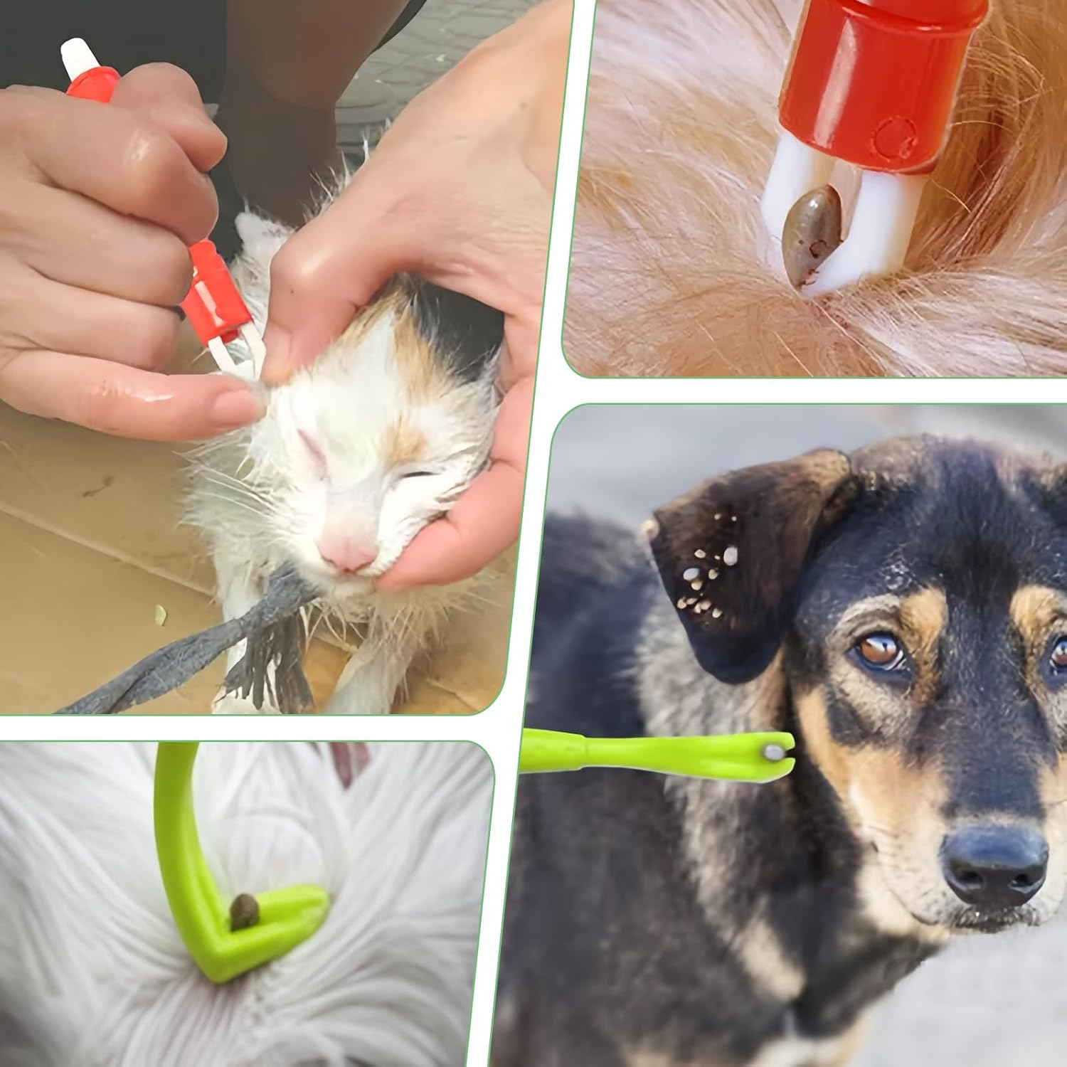 Wefaly Tick Tweezers for Dogs, Cats, Humans, Simple and Safe Tick Remover for Ticks of Any Size image number 1