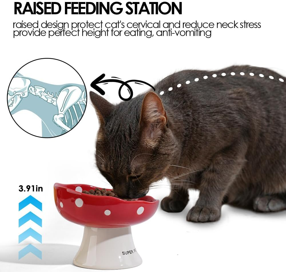 Ceramic Elevated Cat Bowls, Tilted Raised Pet Dish anti Vomit Kitten Bowl for Indoor Cats, Whisker Friendly Pet Food and Water Bowl for Kitten, Cat, Puppies, Dishwasher Safe (Red) - Red image number 4