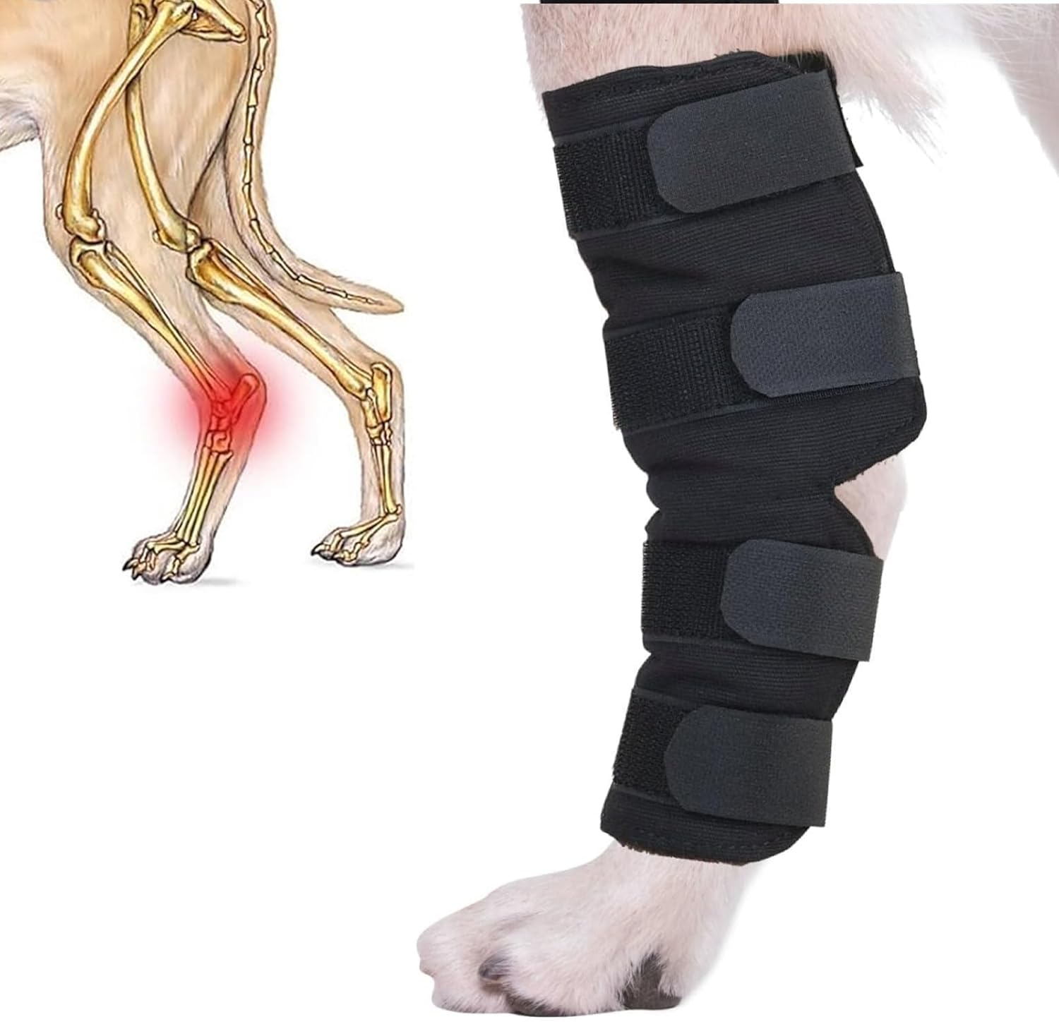 ZUJIACUN Dog Injury Prevention Rear Ankle Support with Knee Support for Dogs, Adjustable Pet Leg Support Compression Pack Recovery Dog Support Protects Leg Wound Injuries for Pain Relief (L)