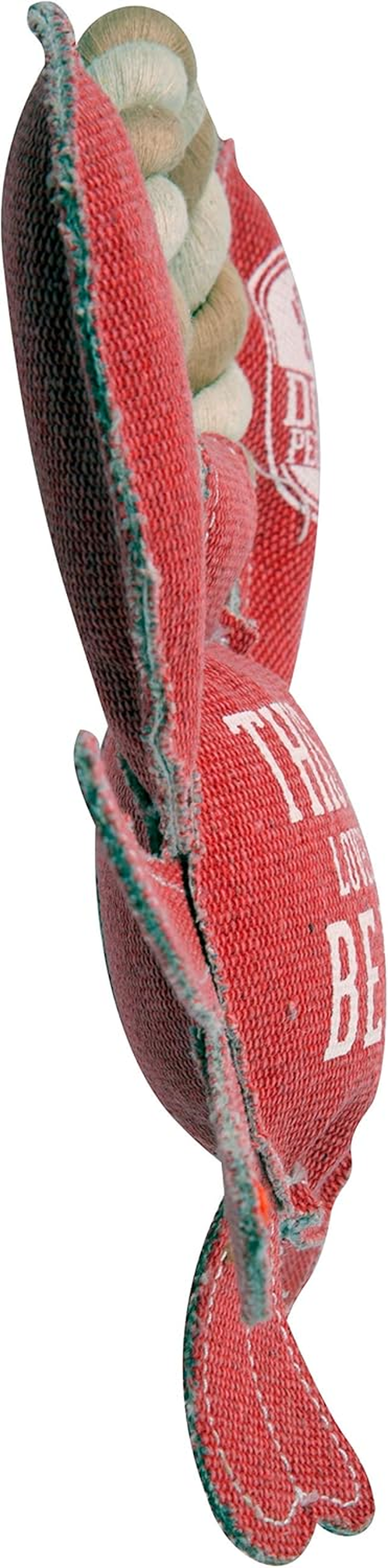 Pavilion Gift Company This Dog Loves the Beach, 67643, Polyester, Red, 11 Inch