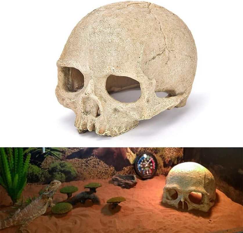 AIMALL Artificial Fake Skull Head Bone Aquarium Ornament Fish Tank Decoration, Safe for All Aquatic Environments, Realistic Design for Reptile Terrariums