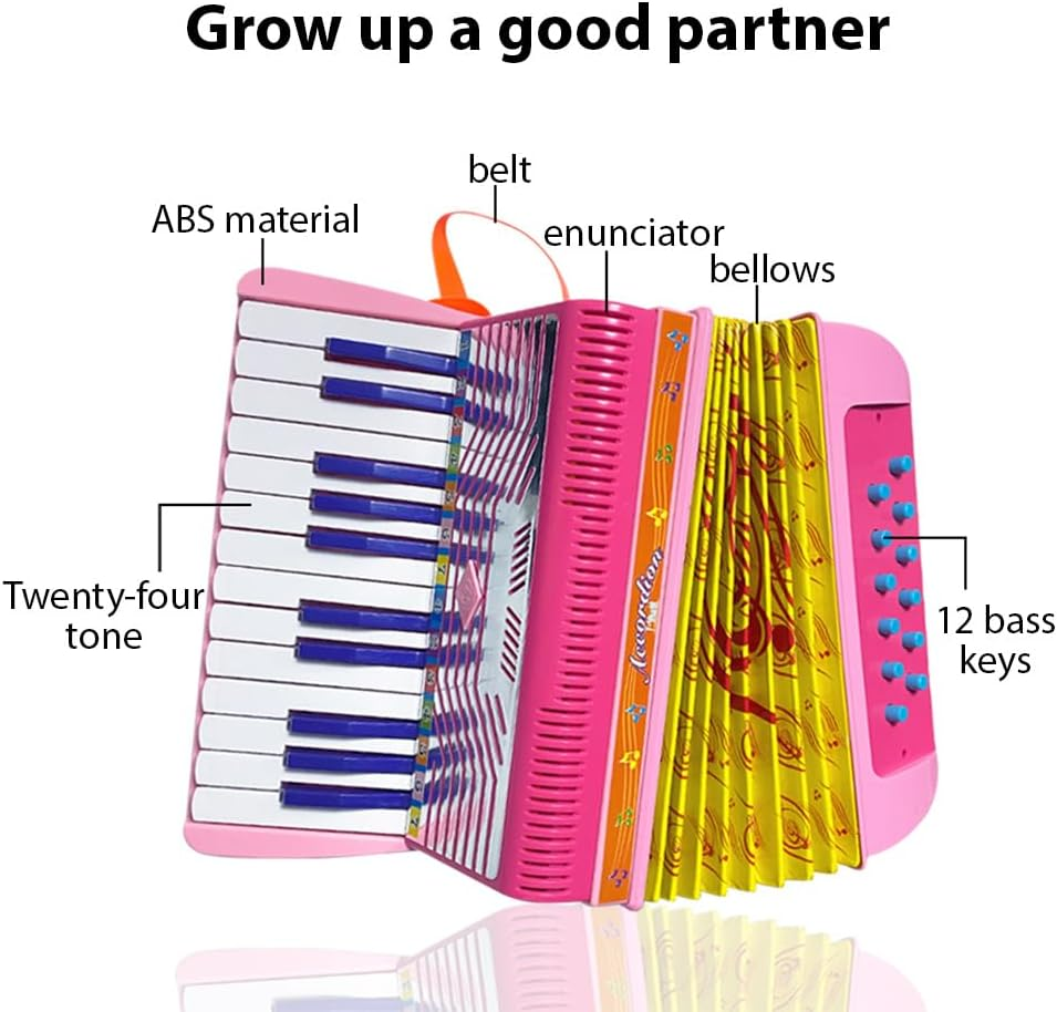 Mini 24-Key 12-Bass Accordion ABS Material with Buckle Musical Instrument for Beginners Lightweight Button Accordion Hand-Eye Coordination Stage Performance image number 4