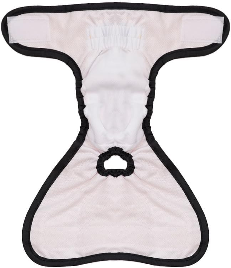 Reusable Cat Diapers and Stud Pants to Prevent Pee Marking - with Adjustable Tabs to Fit Safety Pants, anti Mating and anti Harassment Physiological Pants (Black, M, Count, 1) image number 1