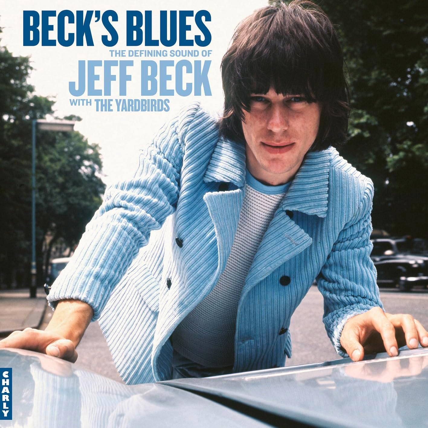Beck'S Blues image number 5