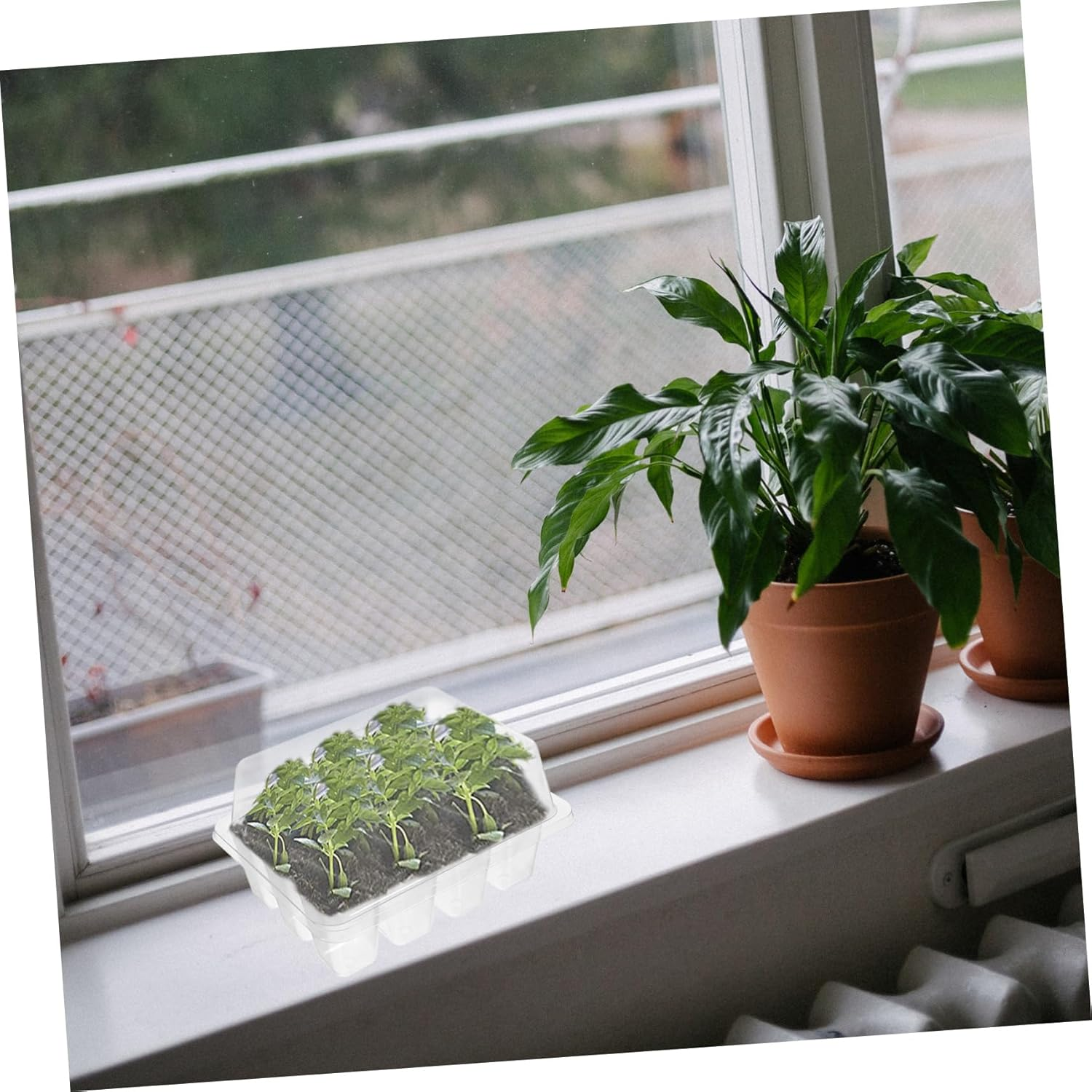 SUPVOX 5Pcs Seedling Tray Plant Nursery Pot for Hydroponic Grow Gardening Supplies