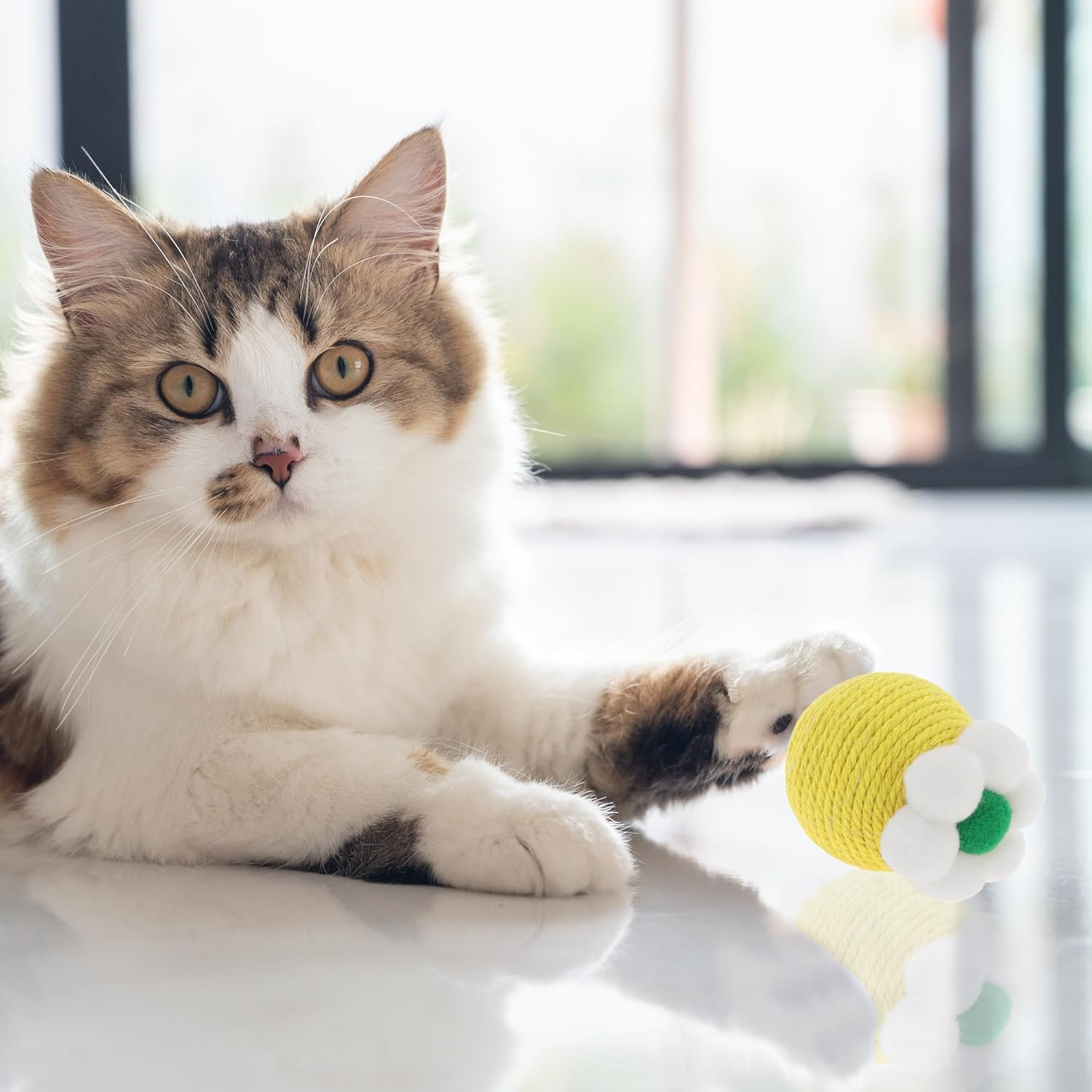 CAPASTEC Cat Playing Ball Interactive Cat Balls Indoor Yellow image number 4
