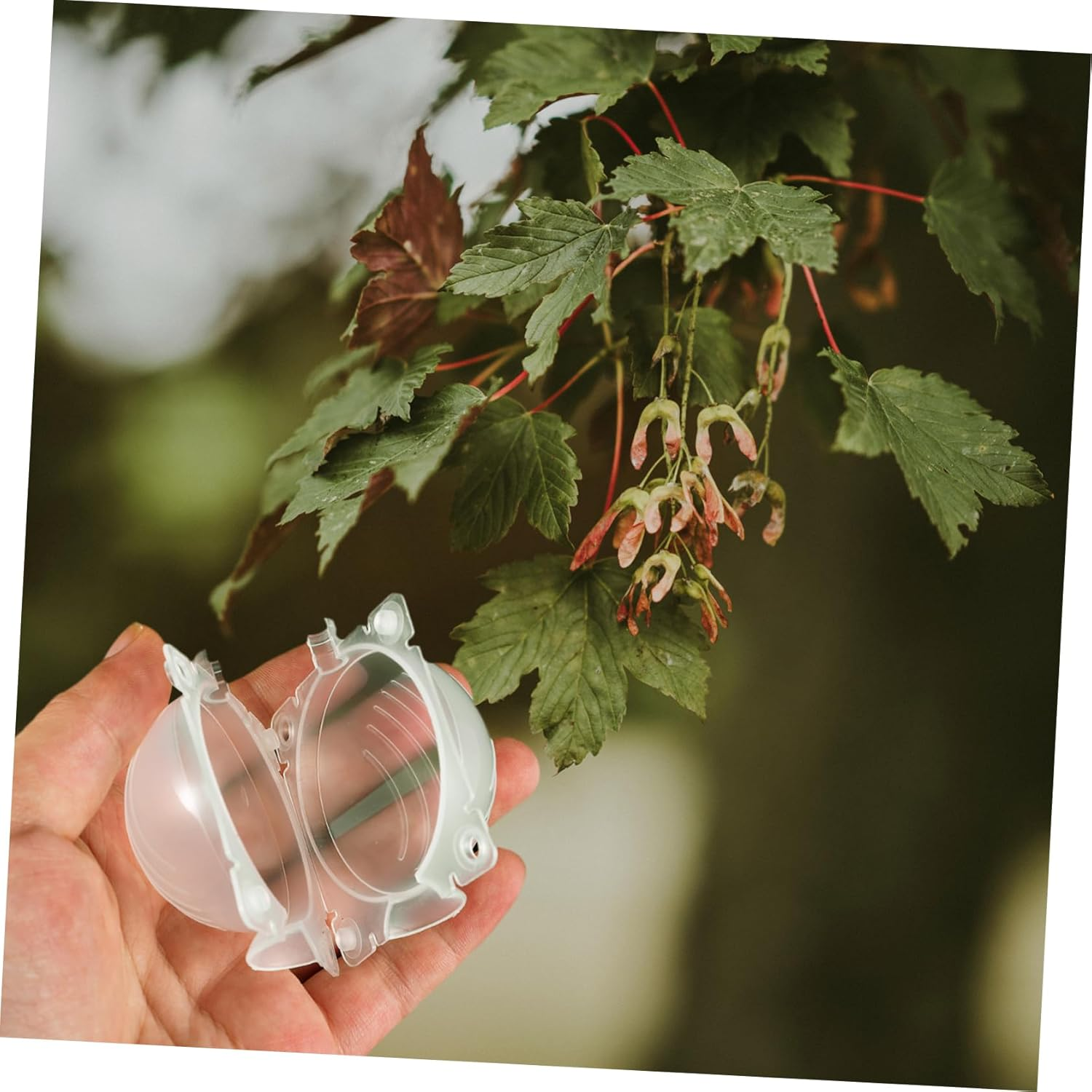 Milisten 8Pcs Box Gardening Grafting Rooting Devices Propagation Rooting Device Root Suite Outdoor Incubator Breeding Box Air Layering Propagation Balls Air Grafting Supplies High Pressure image number 5