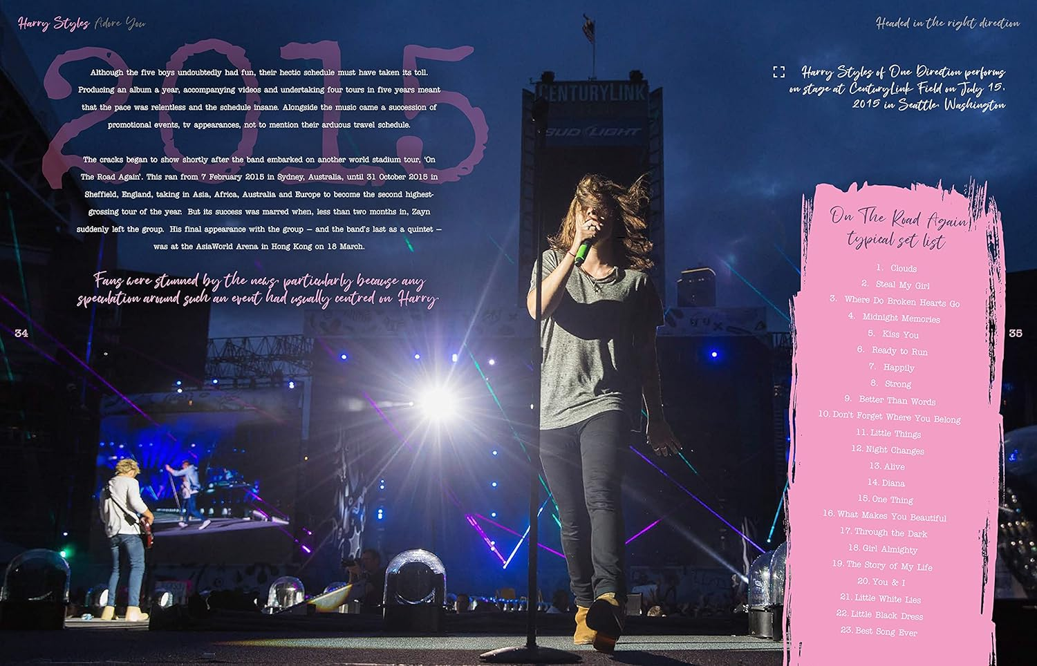 Harry Styles: Adore You: the Illustrated Biography image number 3