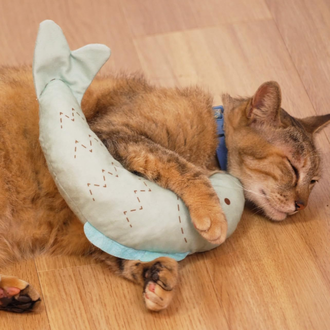 Nippon Seal N70S Cat Tongue Gurumi Sakana, Green, Cat Toy, Grooming Goods, Etiquette Brush, Plush Toy, Manufacturer, Direct Sales