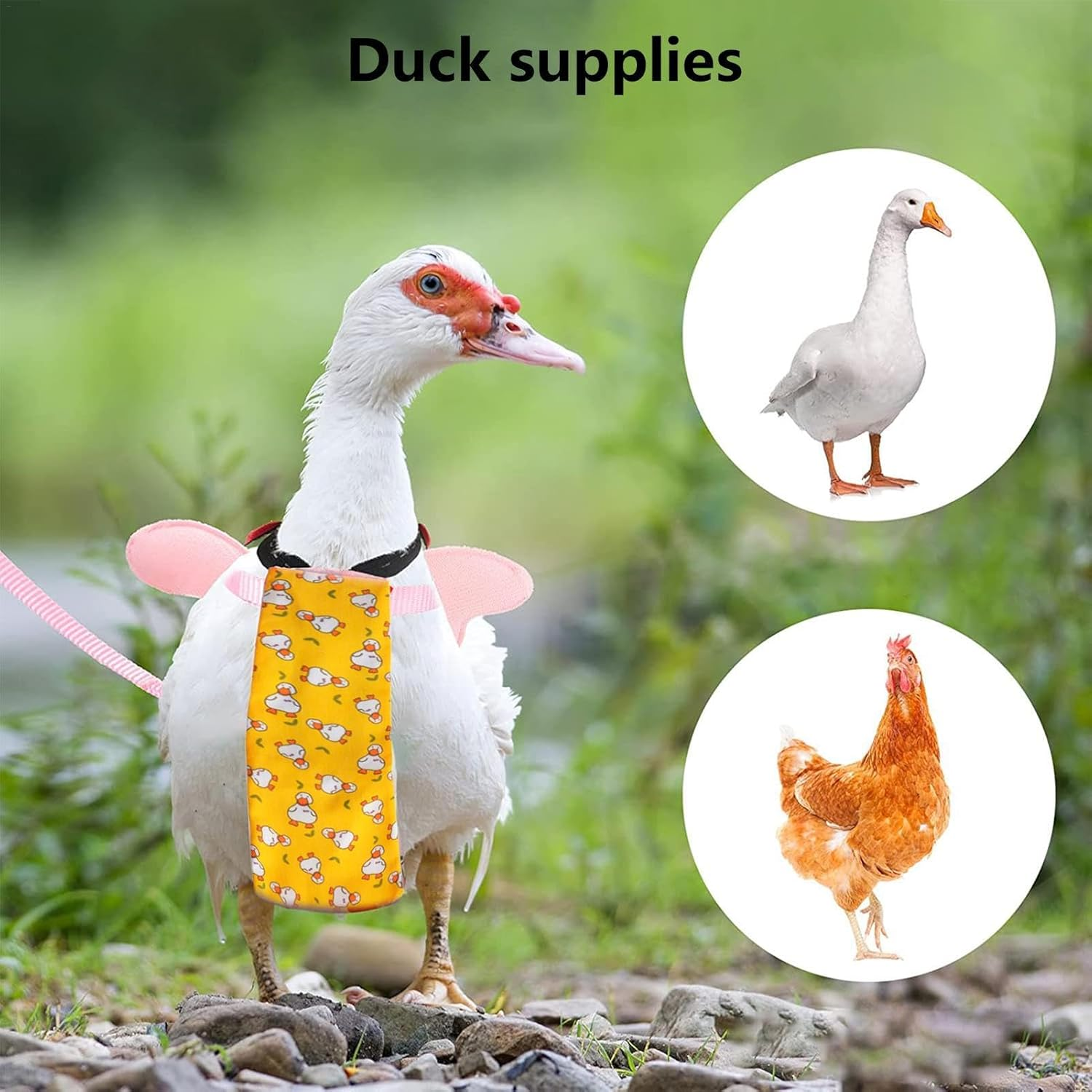 Chicken Diapers,Chicken Clothes Poultry Diapers Reusable Farm Pet Diapers for Duckling - Washable Leak- Proof Duck Diapers for Hens Poultry Duck image number 5