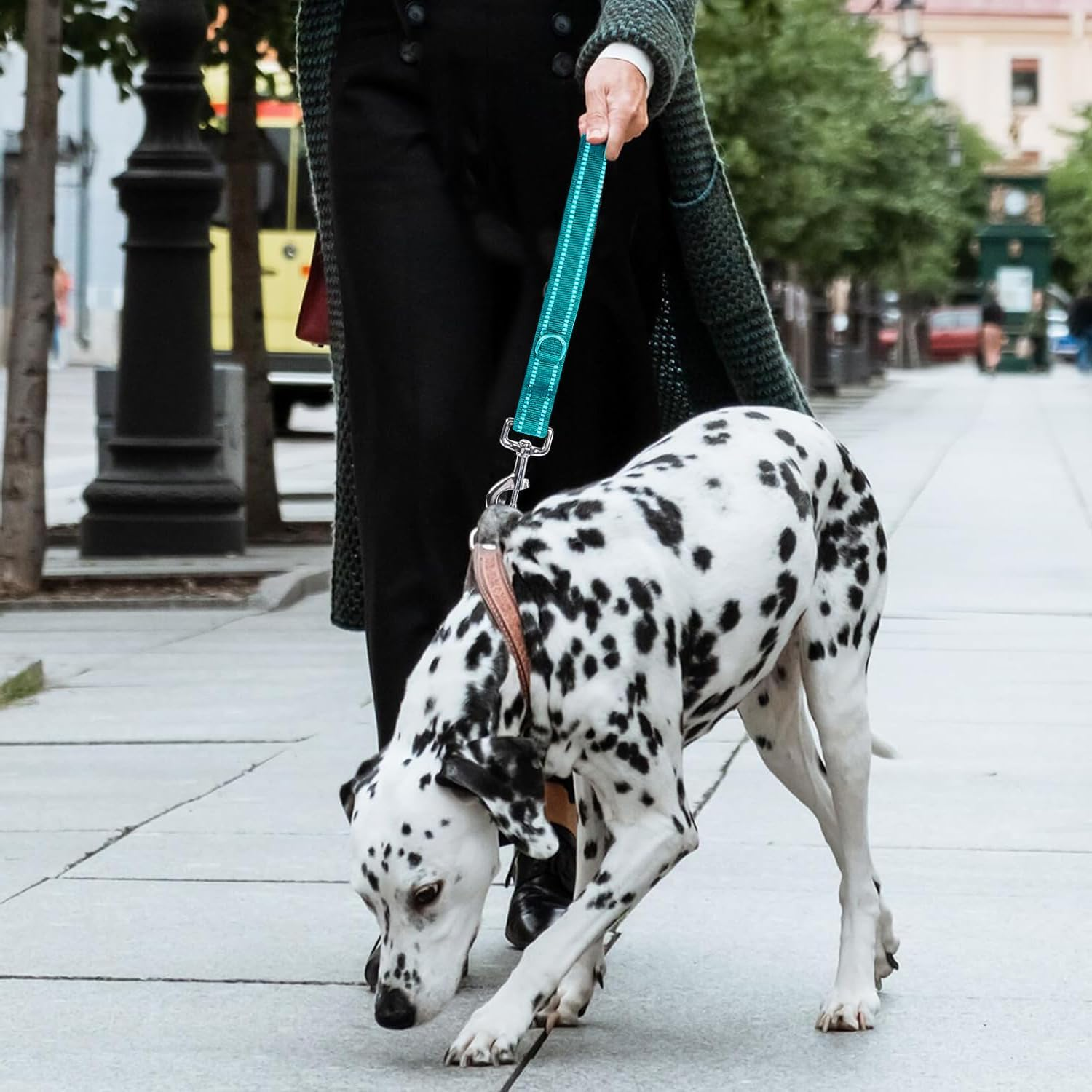 Padded Handle Dog Leash Double Sided Reflective Nylon Leash Training Leash for Small Medium Dogs image number 3