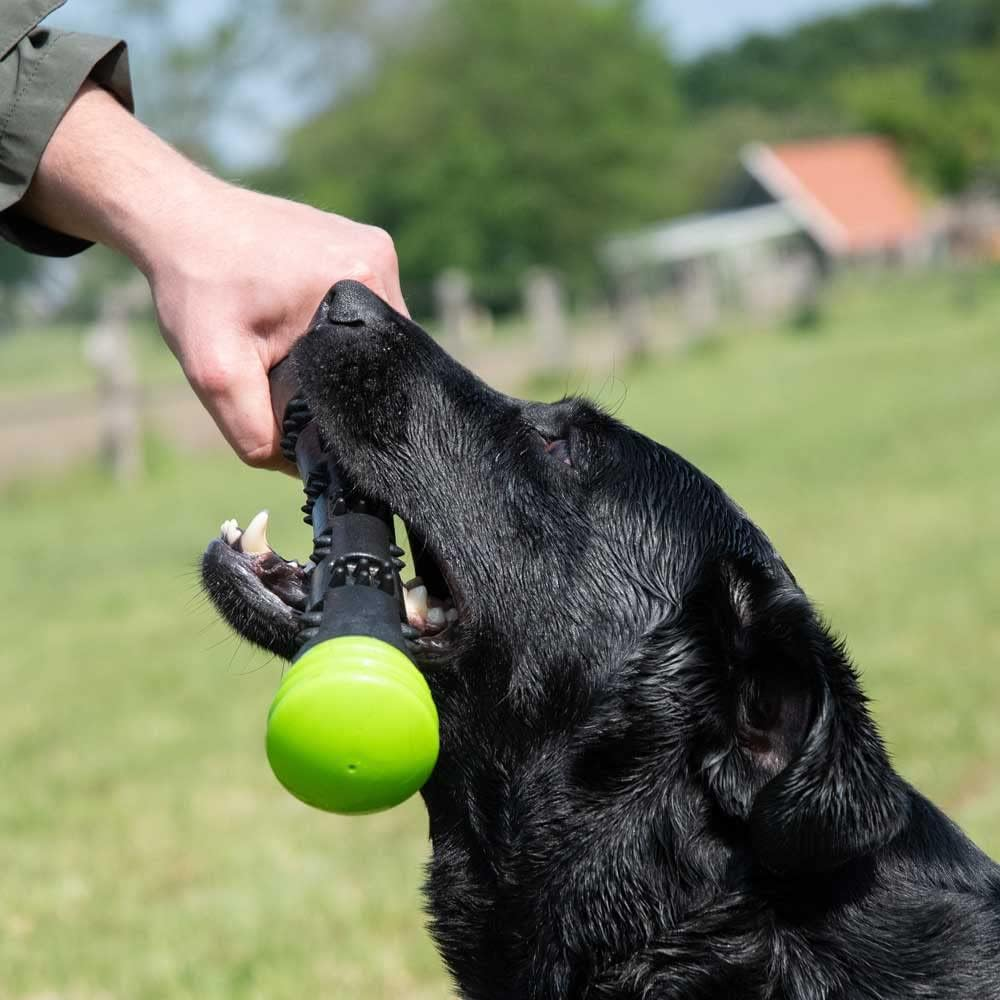 Dog Comets Meteor Throwing Stick - Dog Toy - Bouncing - Rubber - L - 32 Cm - Green/Black image number 1