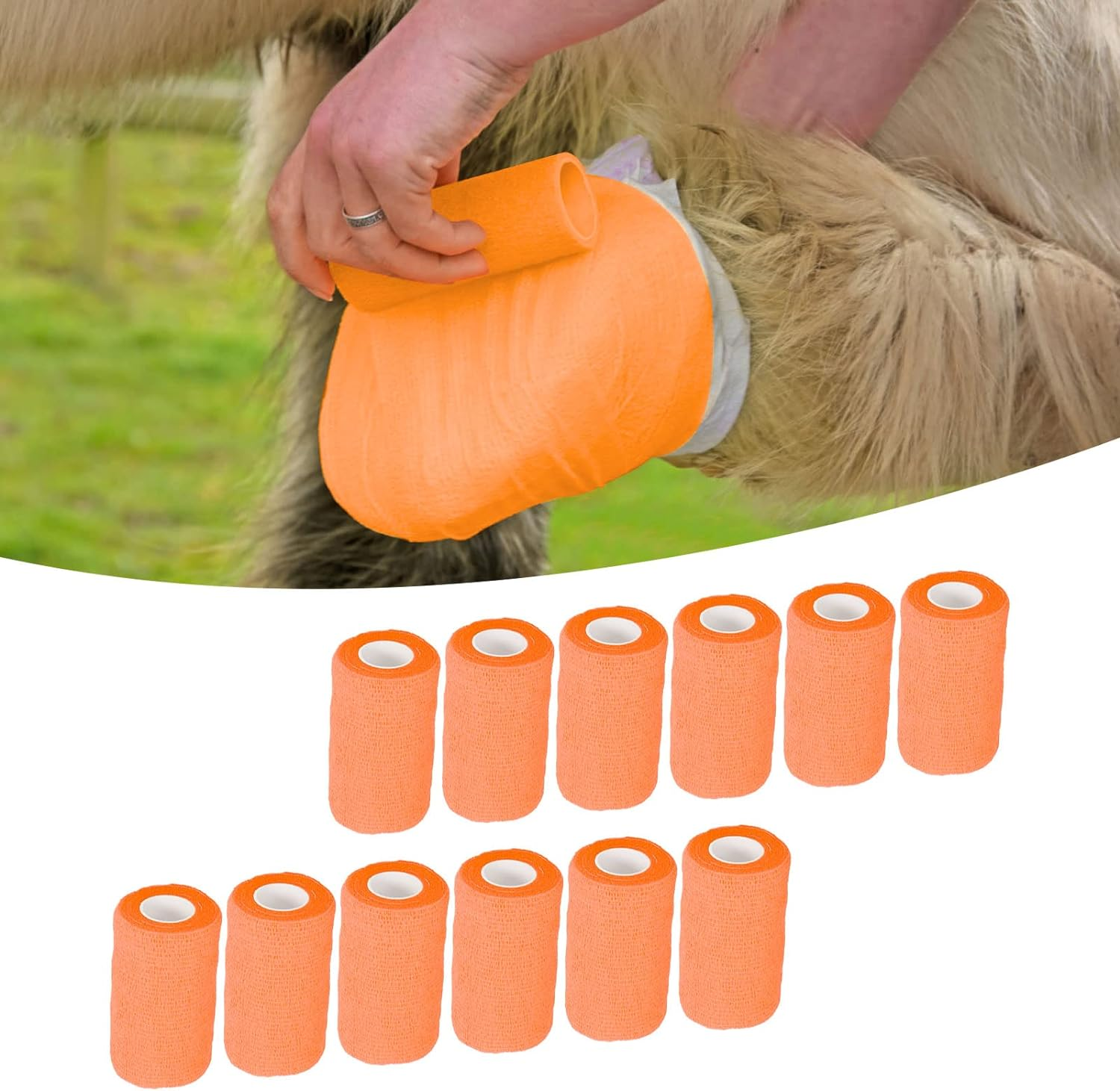 12Pcs Self Adherent Wrap Cohesive Bandages,Athletic Elastic Cohesive Bandage Wrap Latex Elastic Self Adhesive Wrap for Cows Dogs Horses 10Cm image number 5