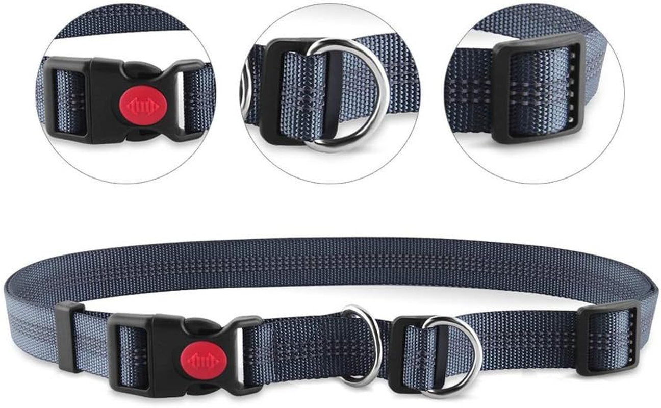 Aiqeer Orange Hands Free Dog Leash, Adjustable Waist Belt and Retractable Bungee Leash, Jogging Dog Leash with Reflective Stitching (Grey Handle)