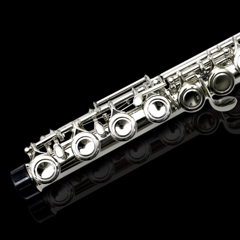 Flute 17 Key Closed Hole C Flute for Beginner Cleaning Kit with Gloves Cloth Tuning Rod Hard Case Nickel Siver, 17 Key Flute Instrument Student Flutes(Closed Hole,Silver) image number 3