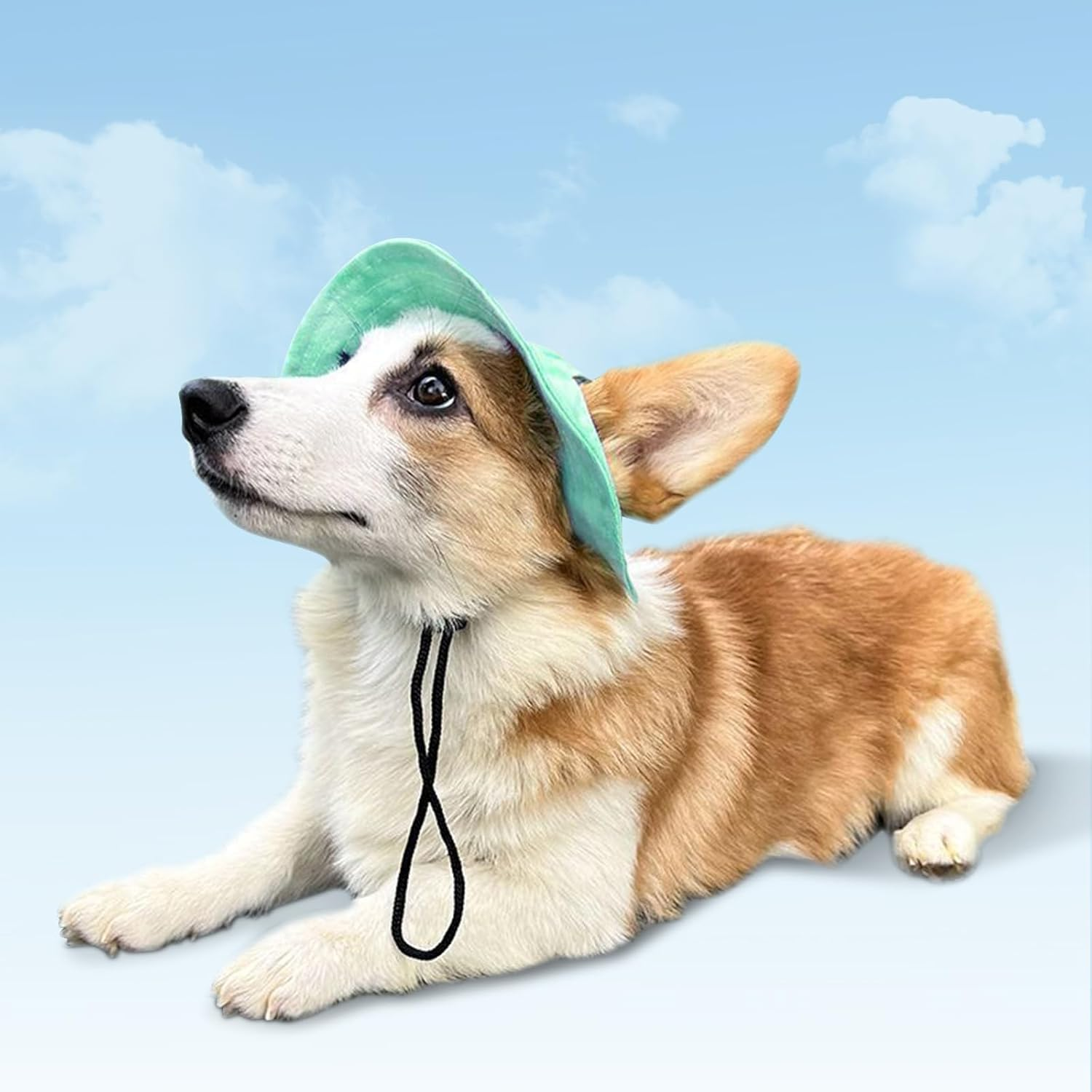 Pet Hat with Ear Holes Sunscreen Cat/Dog Hats Adjustable String Pet Hats Sun Hat Bucket Hat Outdoor Sun Protection Pet Caps for Small Medium Cats Dogs (Light Green, Medium) image number 5