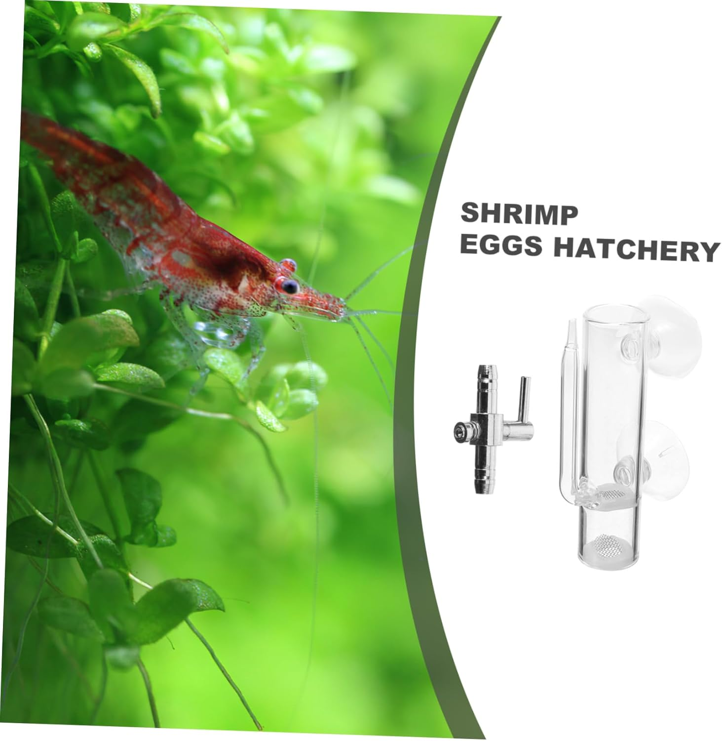 Garneck Shrimp Hatchery Box Glass Breeding Tank Shrimp Eggs Hatchery Isolation Case with Suction Cup Aquarium Fish Incubator Suitable for and Aquatic Pets Breeding image number 6