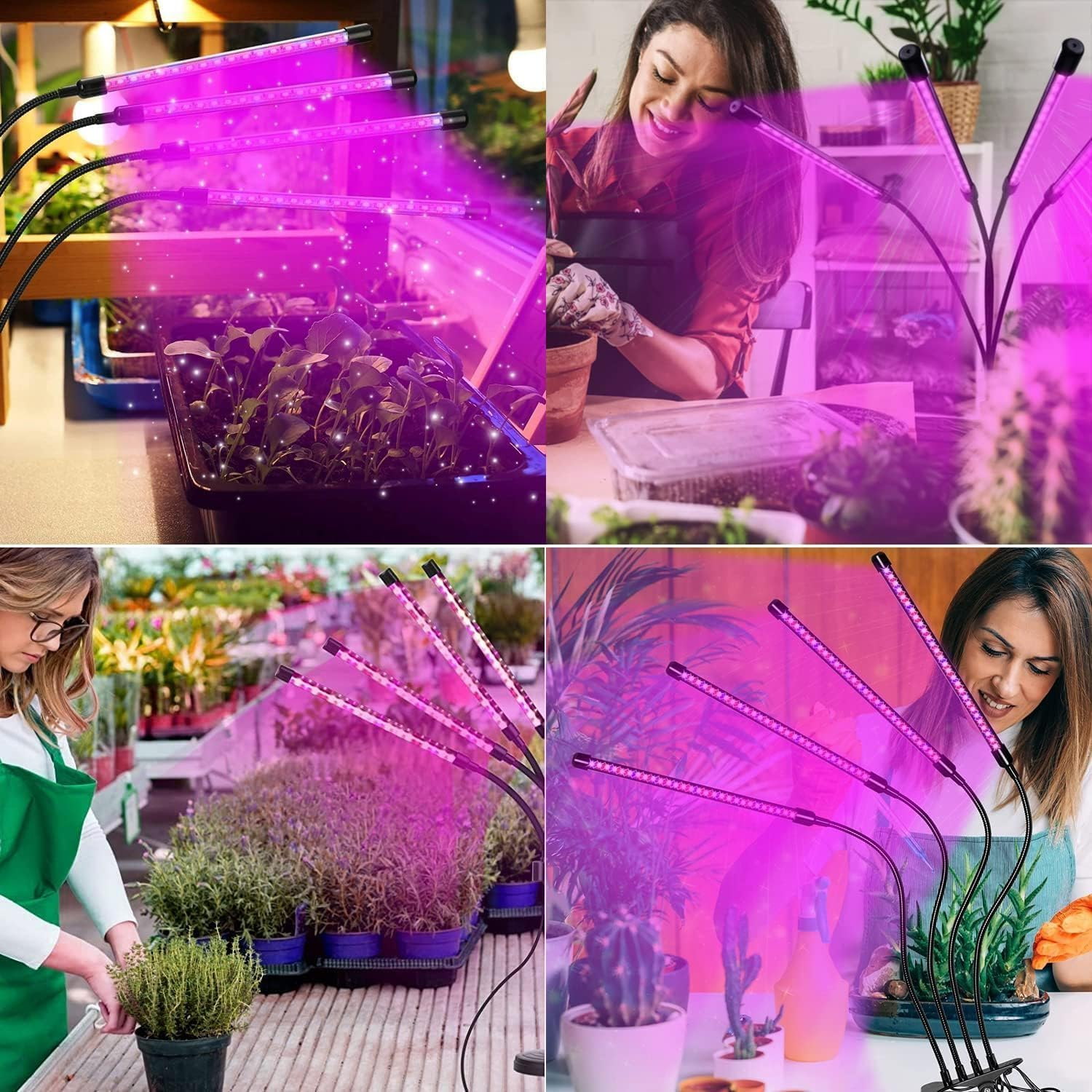 Grow Lights for Indoor Plants, Full Spectrum Plant Light with Timer 3/9/12H, 4 Adjustable Heads & 3 Modes, 360&deg; Flexible Neck for Seedlings, Succulents, Hydroponics (Black) image number 4