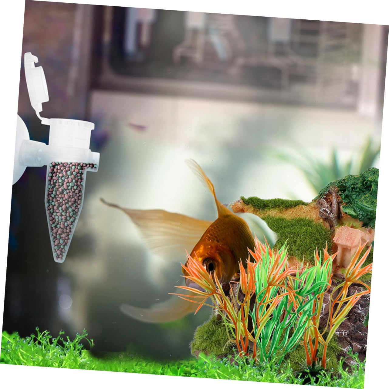 EXAOMBLE 6Pcs Mini Plastic Shrimp Feeder Dispenser with Suction Cup for Aquarium Fish Tanks, Automatic Fish Feeder Suitable for Small Shrimp Hatchery and Aquatic Pet Breeding image number 5