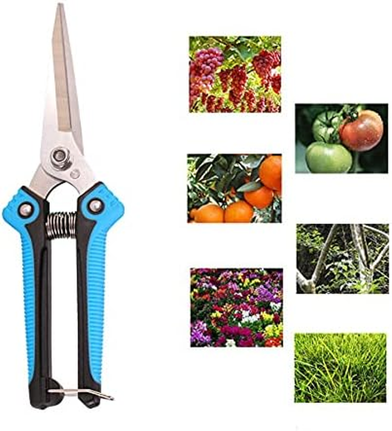 ARFUKA Garden Scissors, Pruning Shears with Straight Blades, Florist Scissors, Multi-Tasking Garden Snips for Arranging Flowers, Trimming Plants and Harvesting Herbs, Fruits or Vegetables (Blue) image number 3
