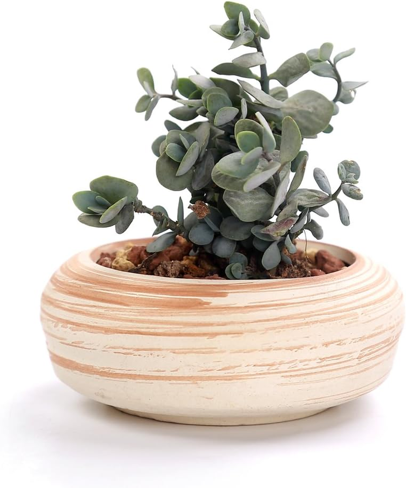 6 Pack 7.5CM Wooden Pattern Plant Pots Ceramic Planters Succulent Plant Pot/Cactus Plant Pot Flower Pot Container Planter Perfect Gife Idea image number 4