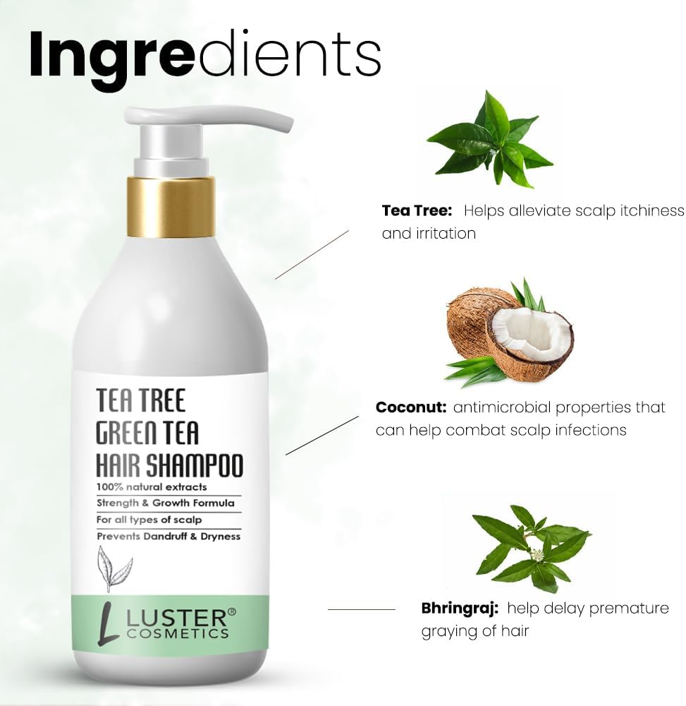 Tea Tree & Green Tea Hair Shampoo | Made with Organic Ingredients | Dandruff & Hair Fall Control Shampoo | Strength & Growth Formula | Shampoo for Women and Men | No Sulfate - 300Ml
