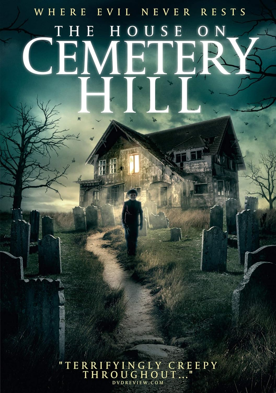 The House on Cemetery Hill [DVD]