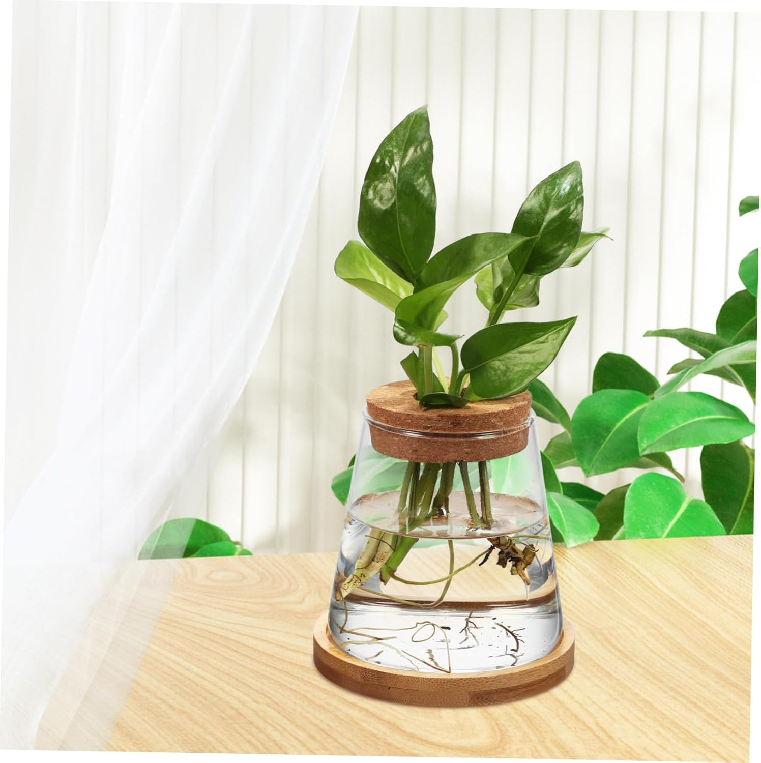 Gogogmee 2Pcs Hydroponic Propagation Station Glass Bottles with Wooden Cork and Bamboo Stand 330Ml for Indoor Plant Growing and Terrarium Gardening image number 2