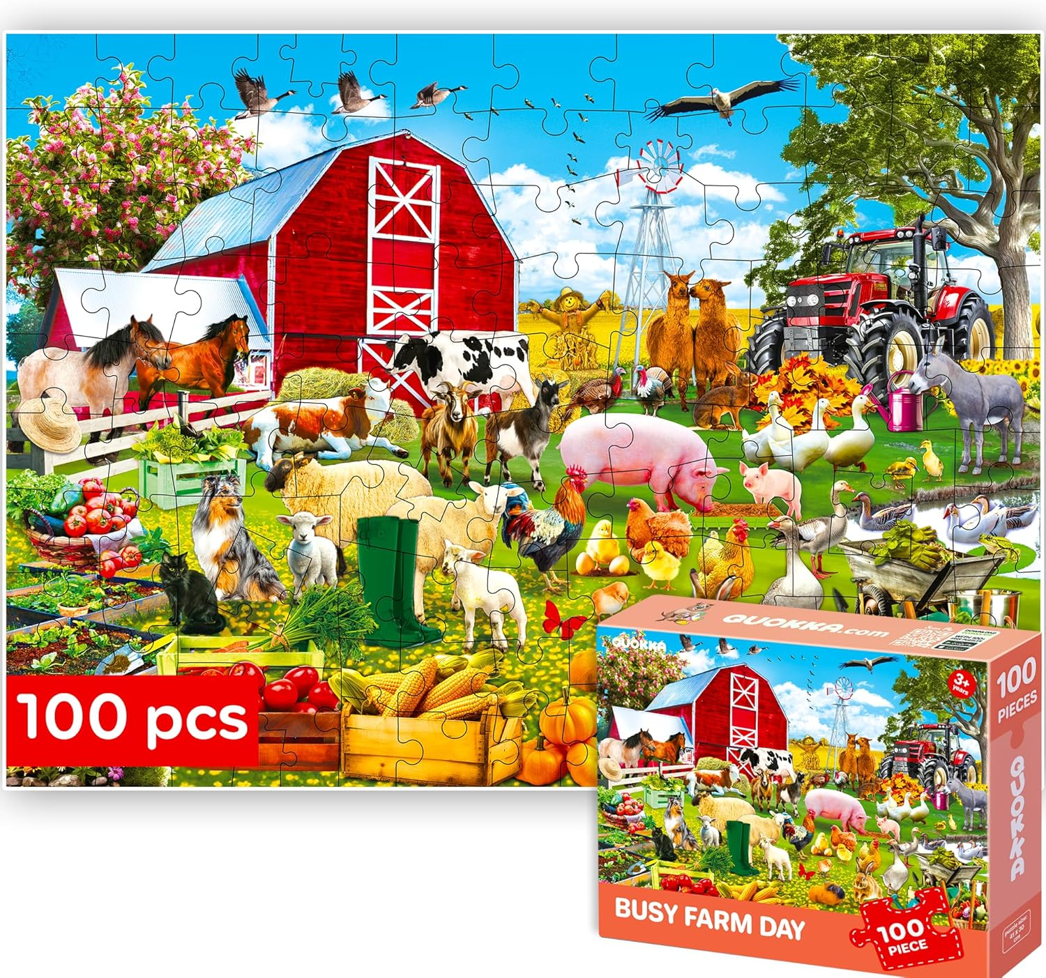 QUOKKA 100 Pieces Solo Assortment Puzzles for Kids - Cars - Toy for Learning Cars,Bugs,Sea & Forest Animals for 3-6 Year Old - Jigsaw Game Boy and Girl