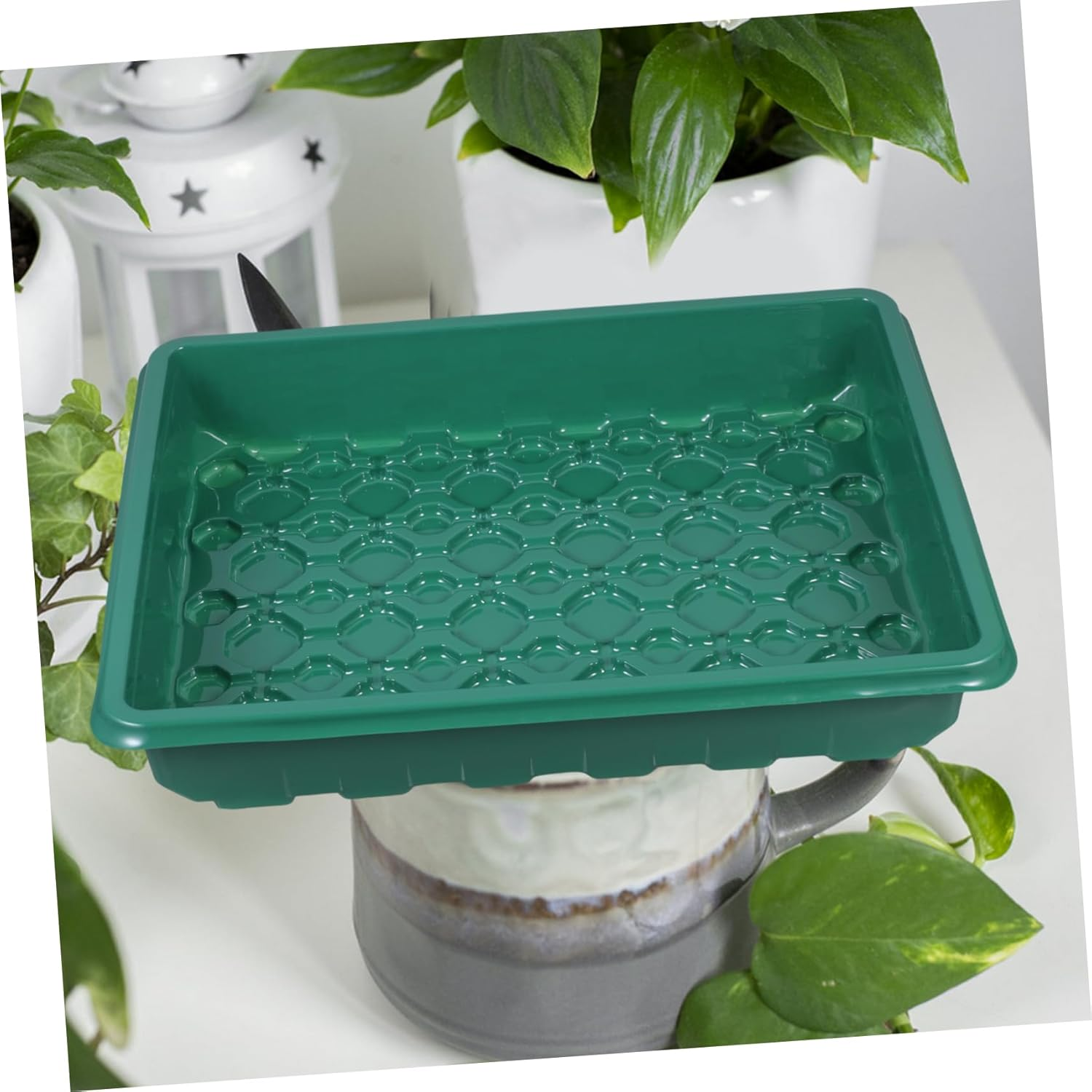 CANIGHT Plant Growing Tray Ventilated Design for Germination Nursery Supply for Indoor and Outdoor Gardening for Flowers Fruits and Vegetables image number 2