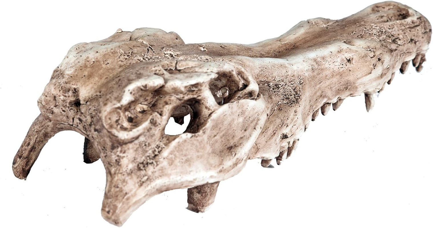 Pet Ting Alligator Skull Aquatic Ornament - Aquarium Decoration - Vivarium Decoration image number 4
