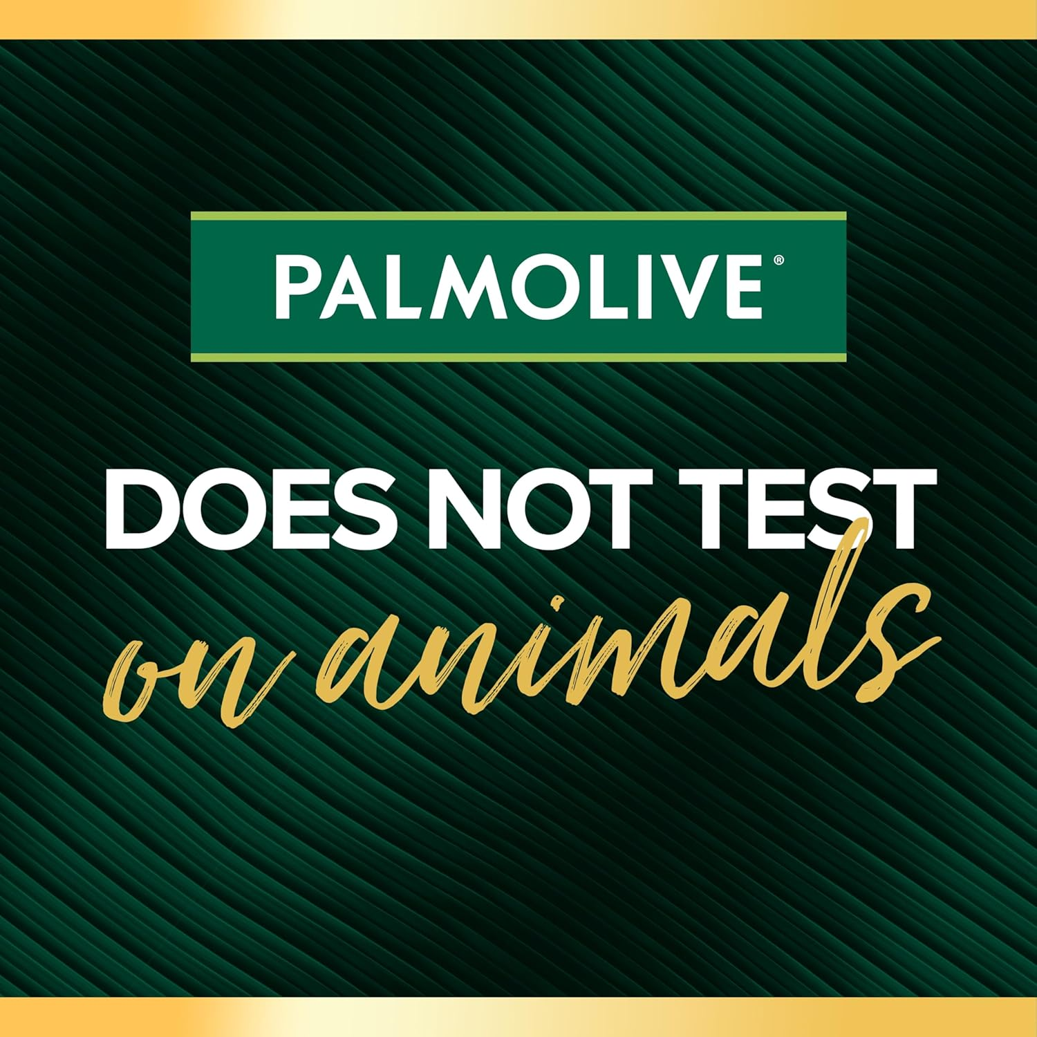 Palmolive Luminous Oils Hair Shampoo, Northern Rivers Macadamia, Argan Oil & Camellia, 350Ml, Strengthen and Protect image number 4