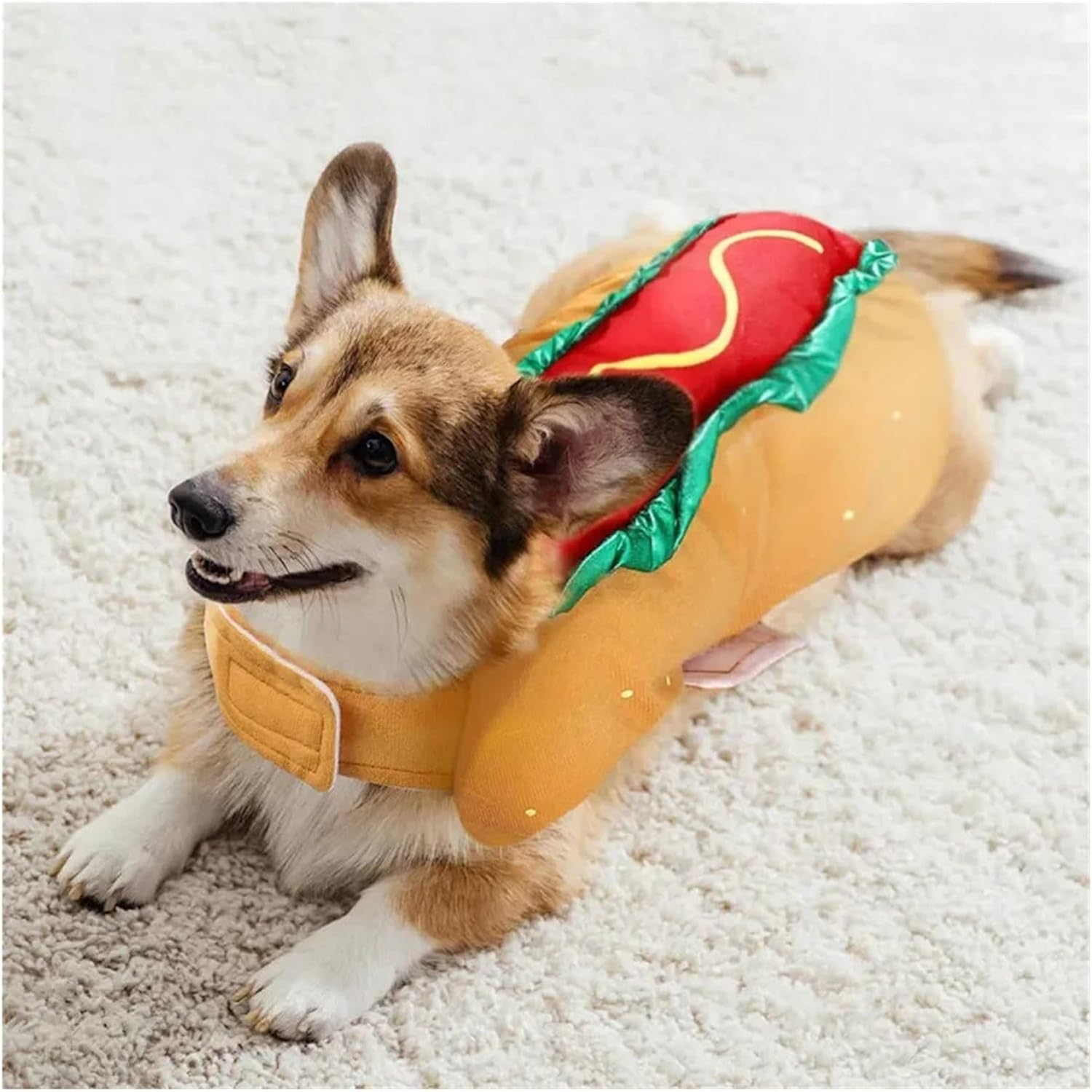 Dog Clothes Pet Costume Dog Fancy Dress Apparel Funny Cosplay Dog Burgers Pizza Sushi Clothes Puppies and Kitten Warm (Color : C, Size : M) image number 5