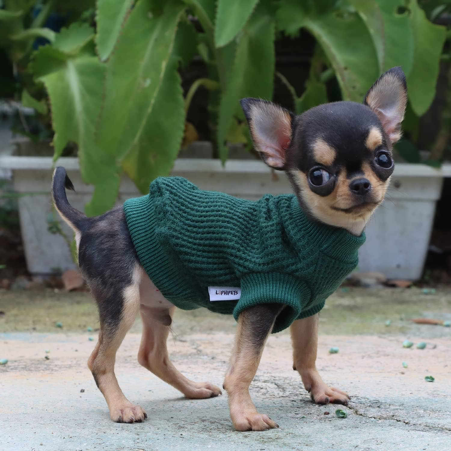 LOPHIPETS Lightweight Dog Sweaters for Puppy Small Dogs Puppy Chihuahua Yorkie Clothes-Atrovirens/Xxs image number 7