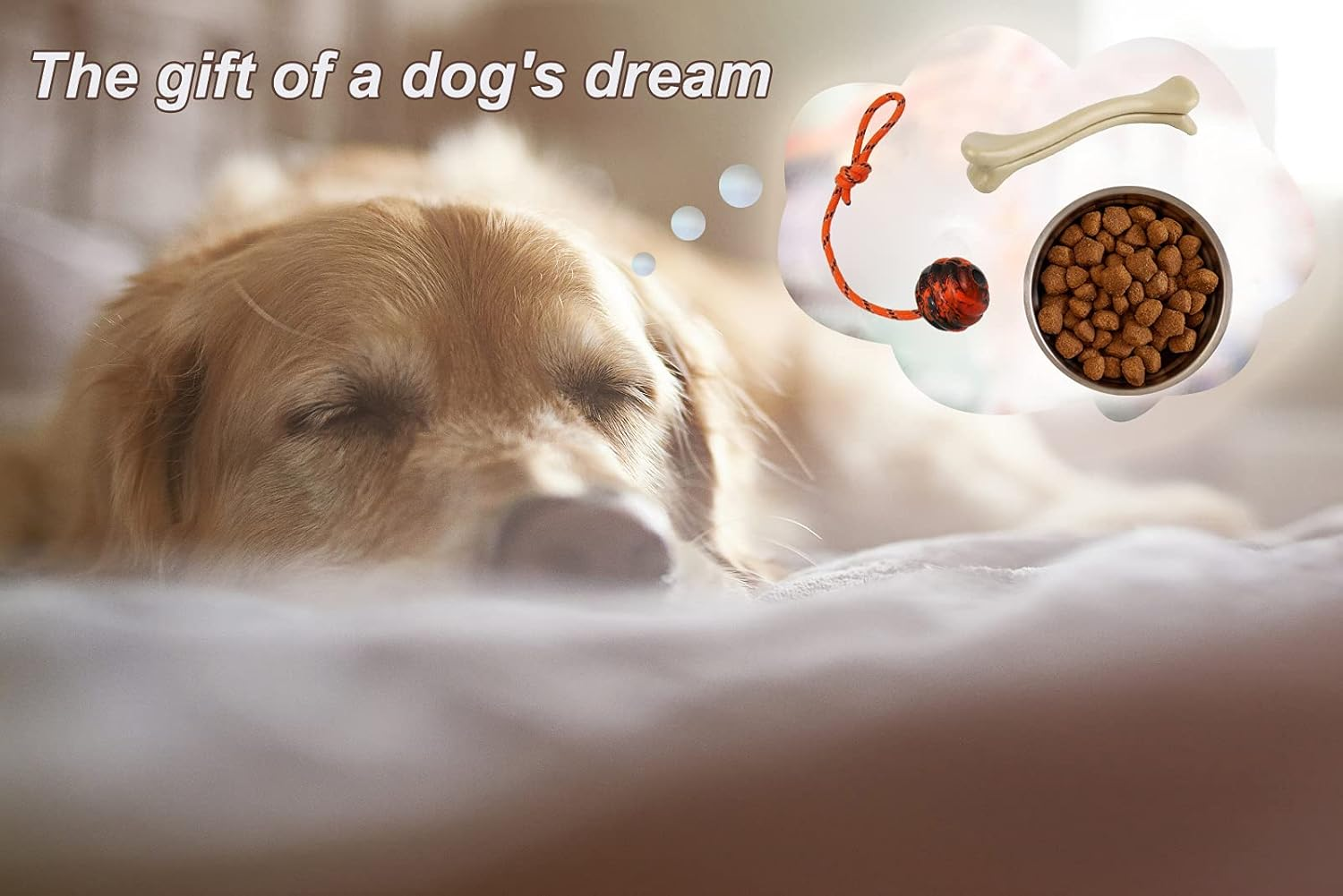 2Pcs Dog Training Ball on Rope Dog Rope Toys Ball Exercise and Reward Toy for Dogs for Chew Training Pull Throw Toy Tug Toy Dogs Fetch Toys Belgian Malinois Gifts image number 6