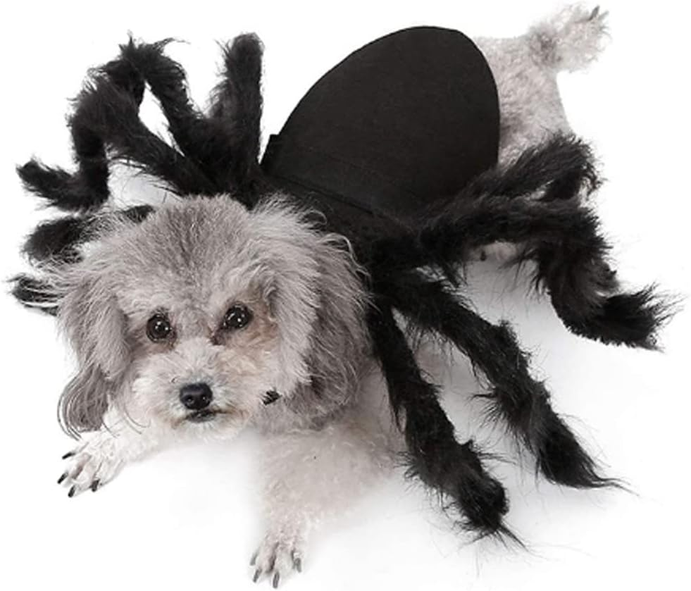 Pet Clothes Dogs Costume Hooded Sweatshirt Cute Warm Coat Weather for Small Dogs and Cats (Cloak, Small) image number 6