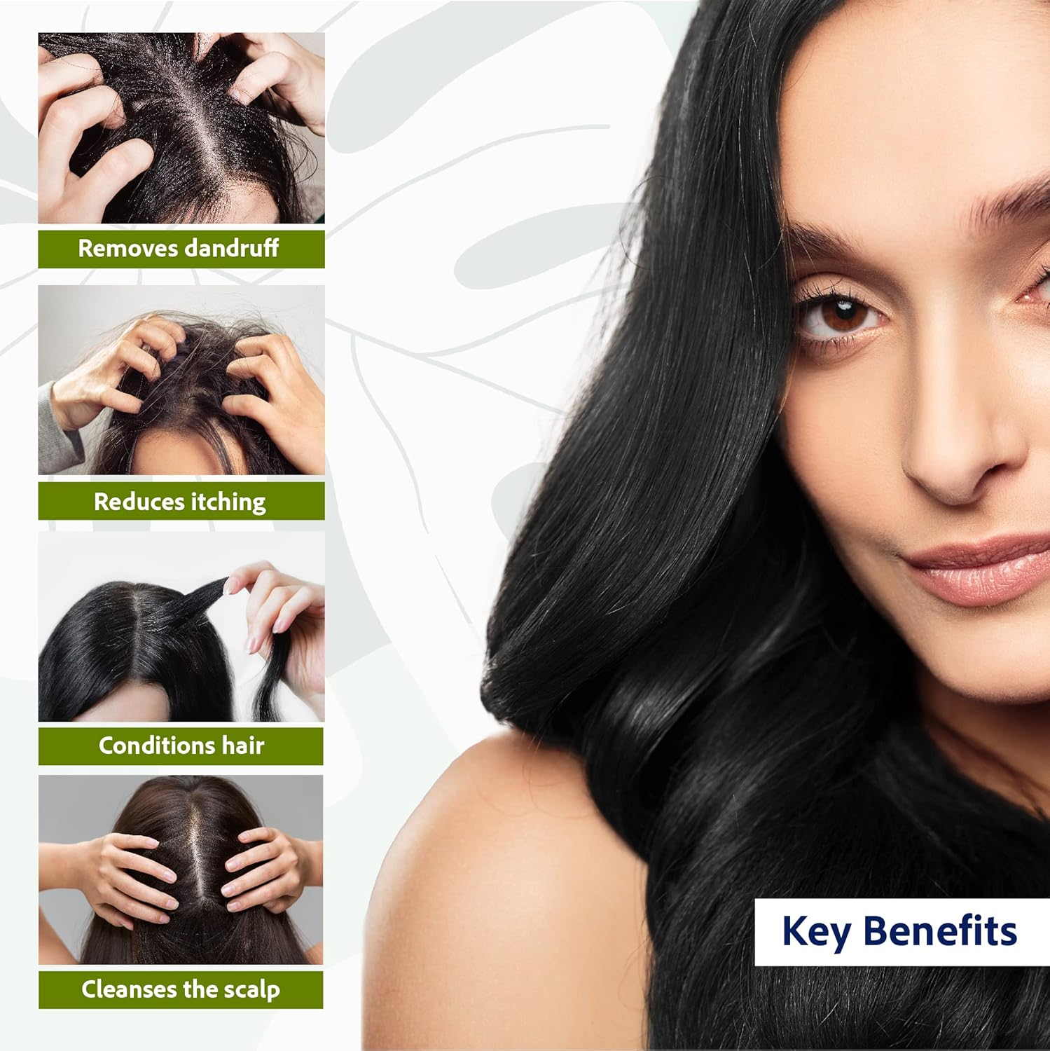 Sri Sri Tattva anti Dandruff Shampoo, 200Ml (Pack of 3) image number 2