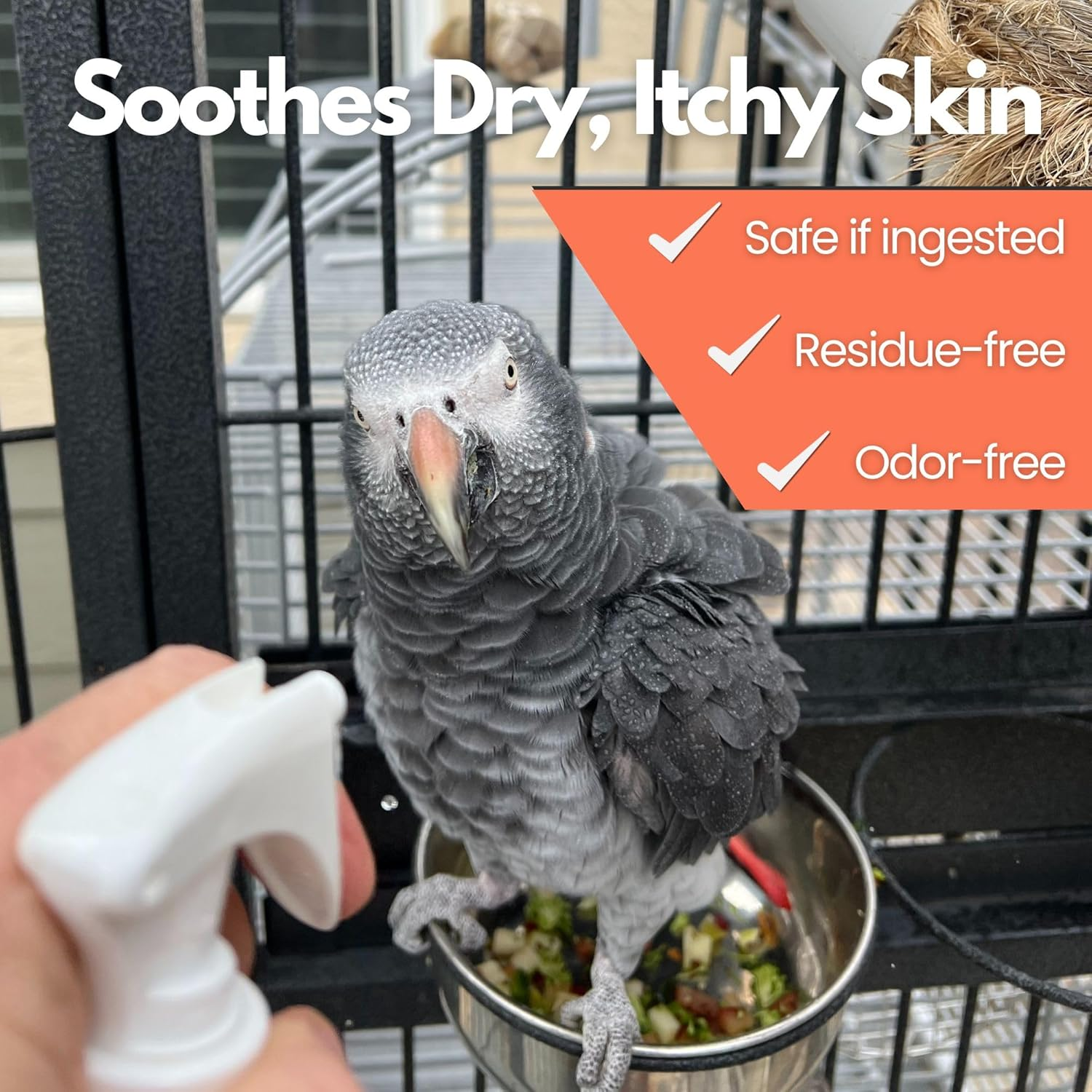 Unruffledrx Aloe Vera Bird Bath Spray for Daily Care & Skin Health 8 Fl Oz - Soothe, Soften, and Protect Your Bird