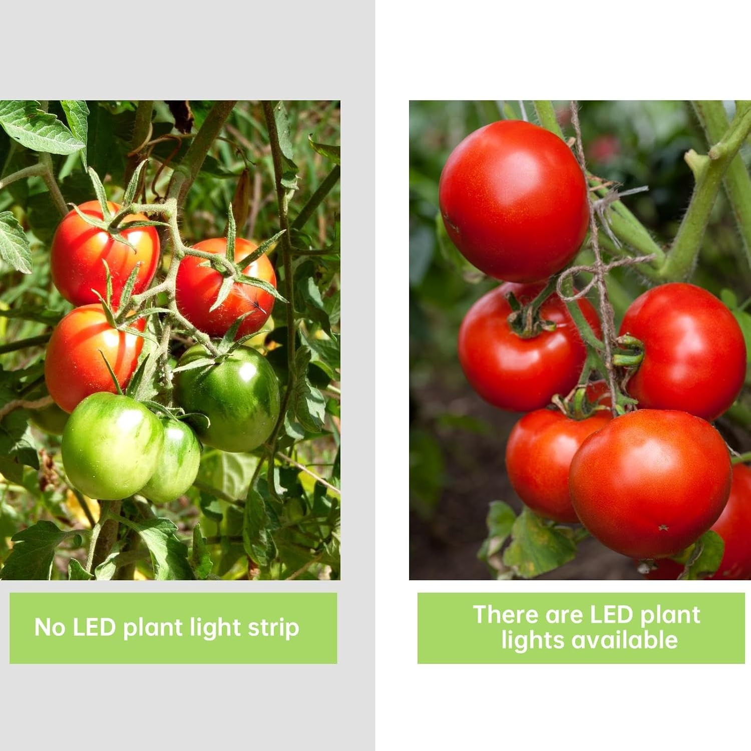 5W Solar Energy Grow Light Strip, Plant Grow Spectrum LED Light Strip, Solar LED Grow Light Strips with Panel for Gardening Home Balcony Sowing (5W 2M) - 0.5M image number 2