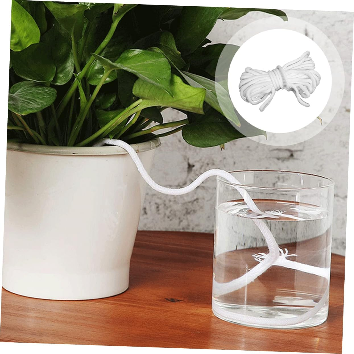 Kisangel Automatic Watering Rope for Self Watering Pot Absorbent Cotton Cord for Potted Plants Hydroponic Supply for Indoor Plants Water image number 2