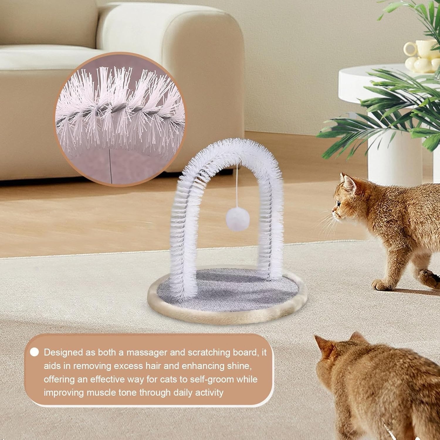 Nkmifeg Cat Self Groomer | Cat Arch Grooming Brush with Scratching Pad - Bite-Resistant Kitten Scratch Toys, Pet Supplies for Small Large Kitten Play Relaxation image number 4