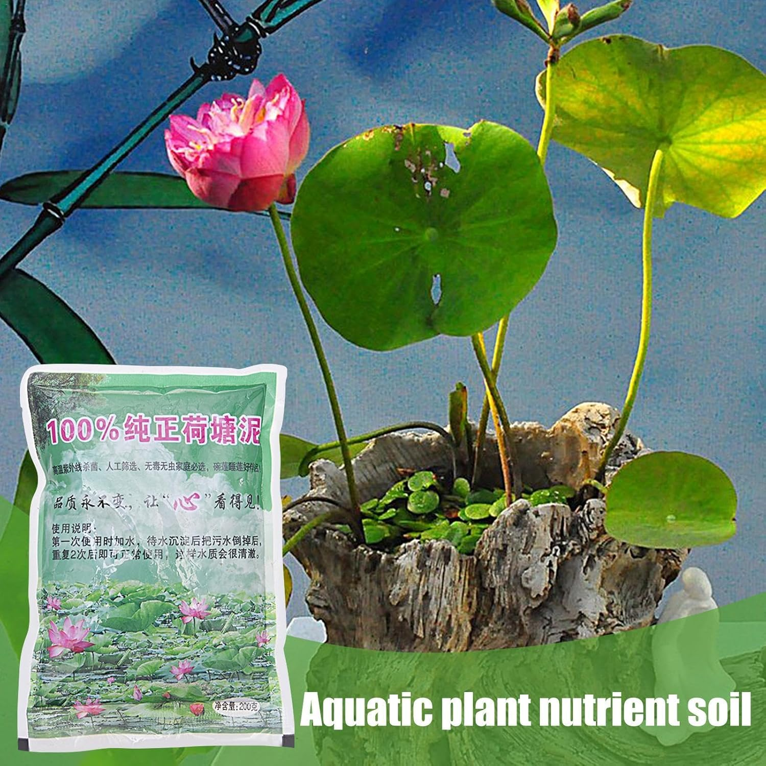 Aquatic Pond Soil | Natural Pond Mud with Nutrients | Plant Growing Media for Water Lilies, Gardening Supplies image number 4