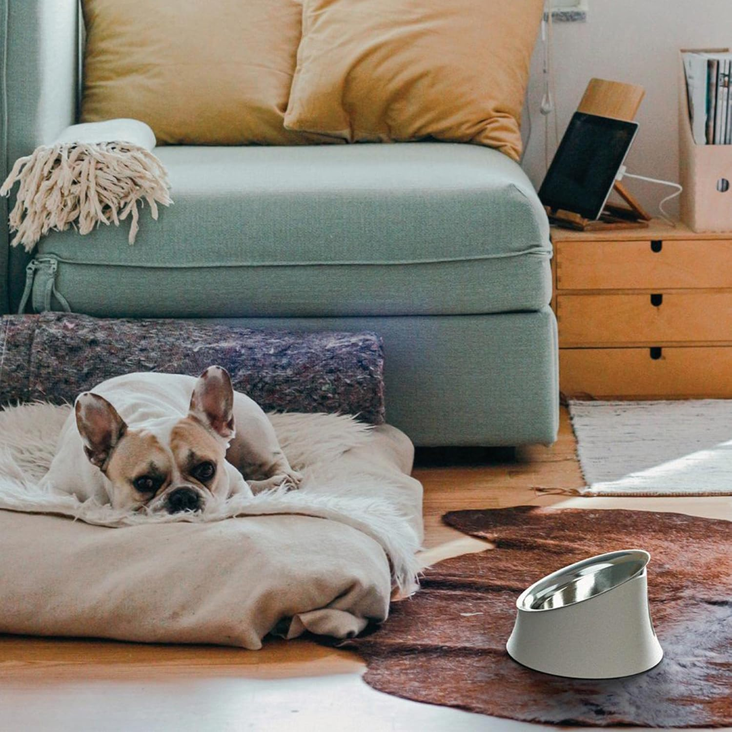 Alessi Dog Accessories, Thermoplastic Resin, Stainless Steel, One Size