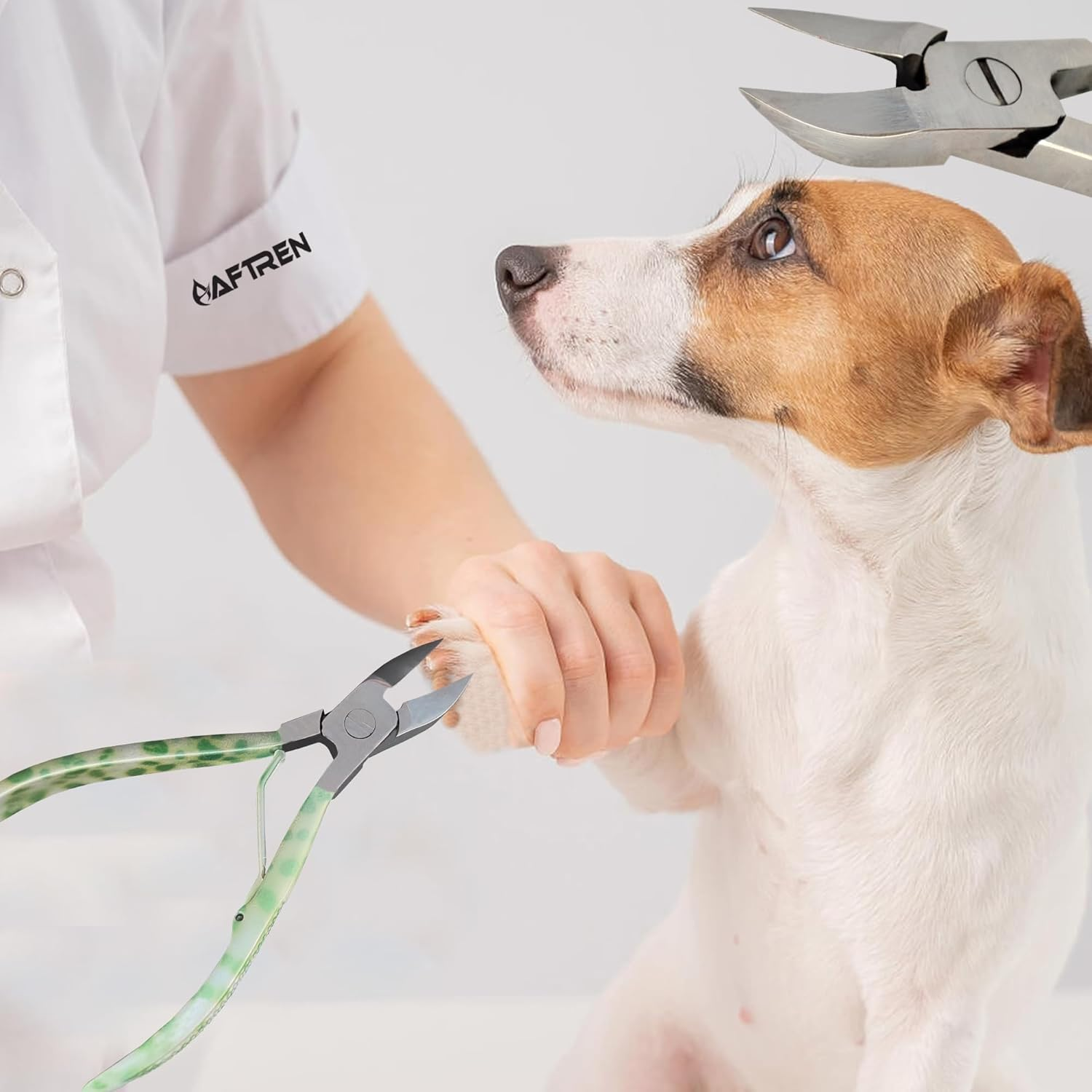 Dog Claw Care Toenail Clippers Professional Stainless Steel Nail Clippers Thick Puffy Nails Podiatrist Pedicure Tool Sharp Blade for Cats Dogs 5.5 Green image number 6