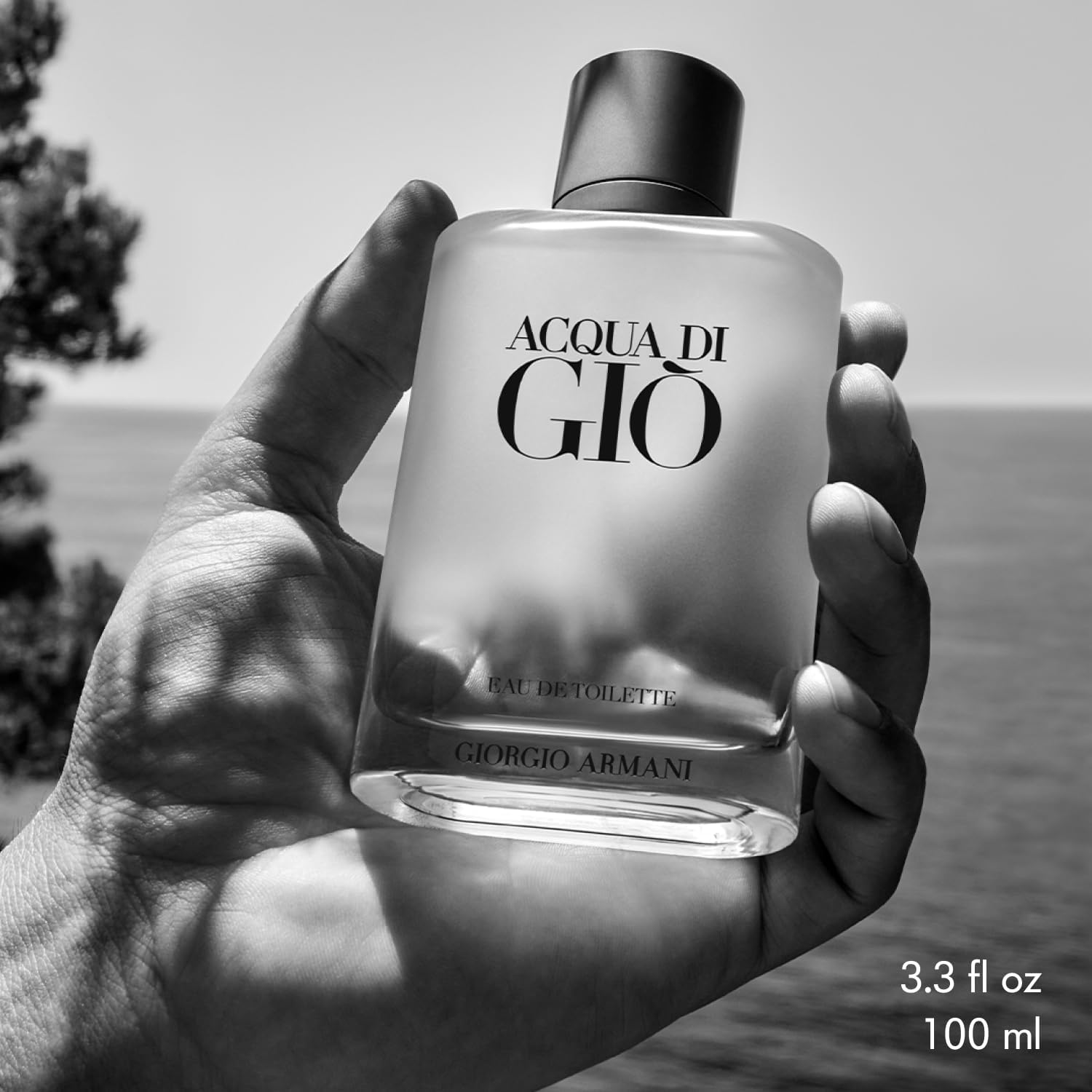 Acqua Di Gio by Giorgio Armani for Men. Eau De Toilette Spray 3.4 Ounces (3.4 Oz Tester) image number 4