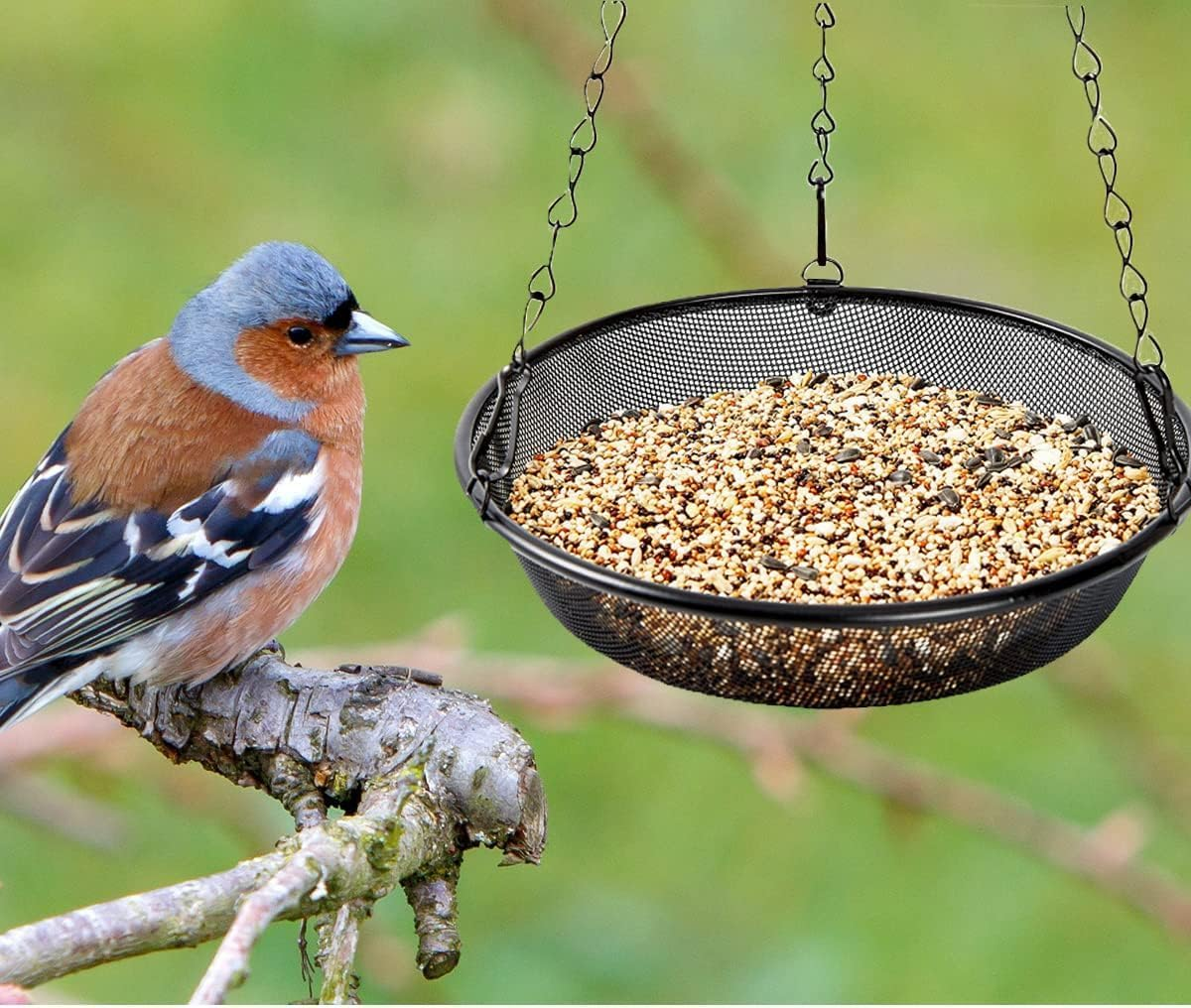 WADY 1Pcs Hanging Bird Feeder, Bird Feeder Hanging for Garden Yard outside Hanging Bird Feeder Tray Metal Mesh Platform Feeders for Birds Outdoor Garden Decoration (Black) image number 5