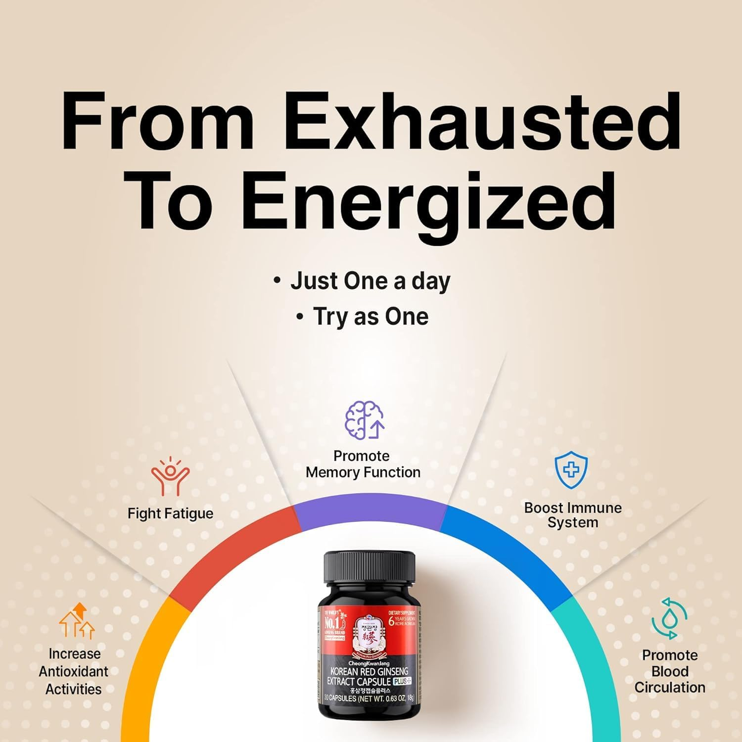 Cheongkwanjang Korean Red Ginseng Extract Capsules plus | All-In-1 Panax Ginseng Supplement | Improve Blood Flow, Enhances Immune Function, Antioxidant Support | 30 Capsules image number 4