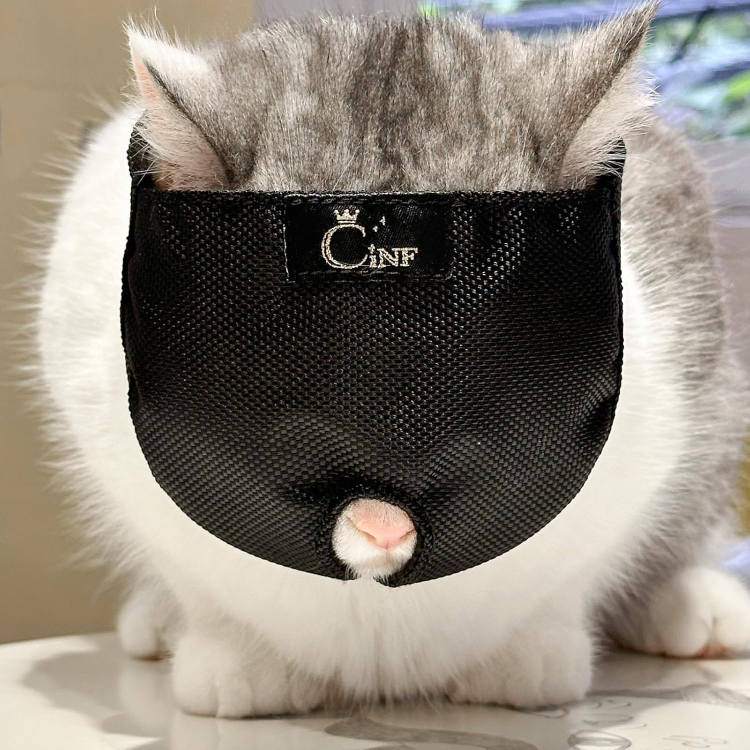 Cinf Cat Nail Clipping Cleaning Grooming Restraint Bag No Scratching Biting for Bathing Nail Trimming Injecting Examining